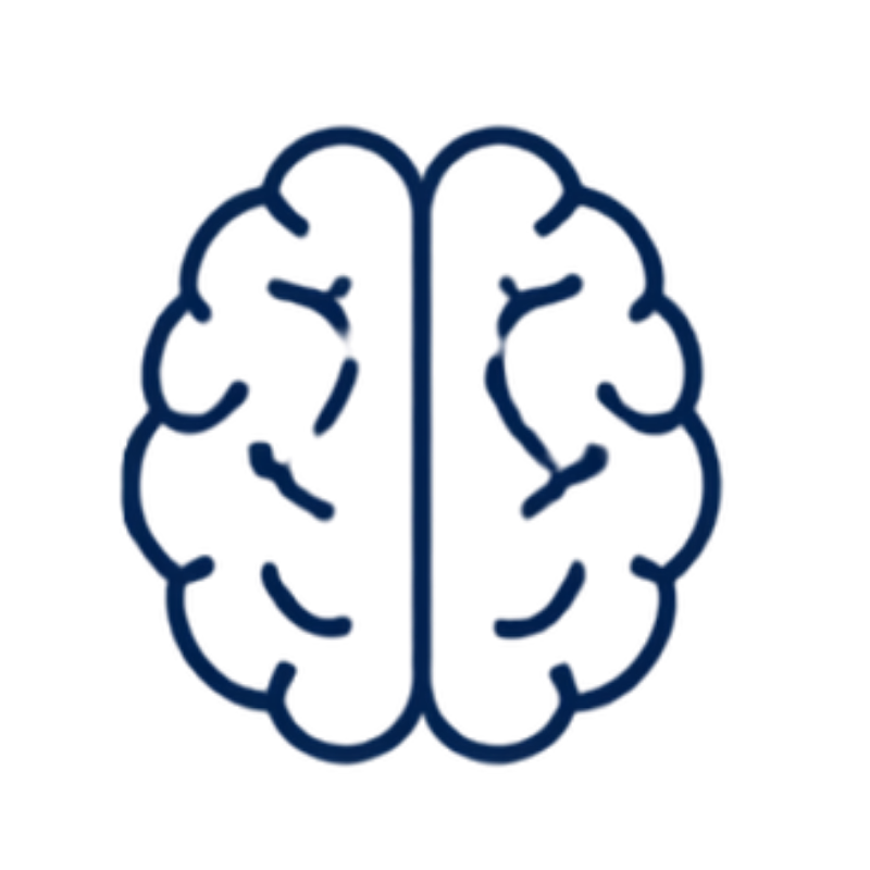 brain icon