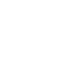 magnifying glass icon