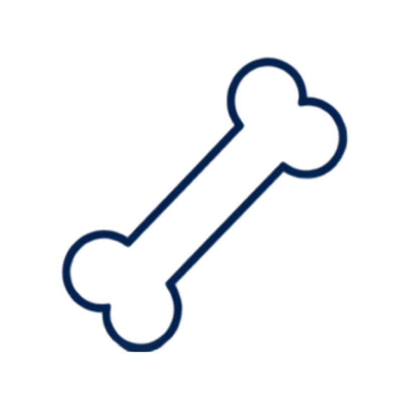 Neon blue outline of a bone, symbolizing a dog treat or chew toy.