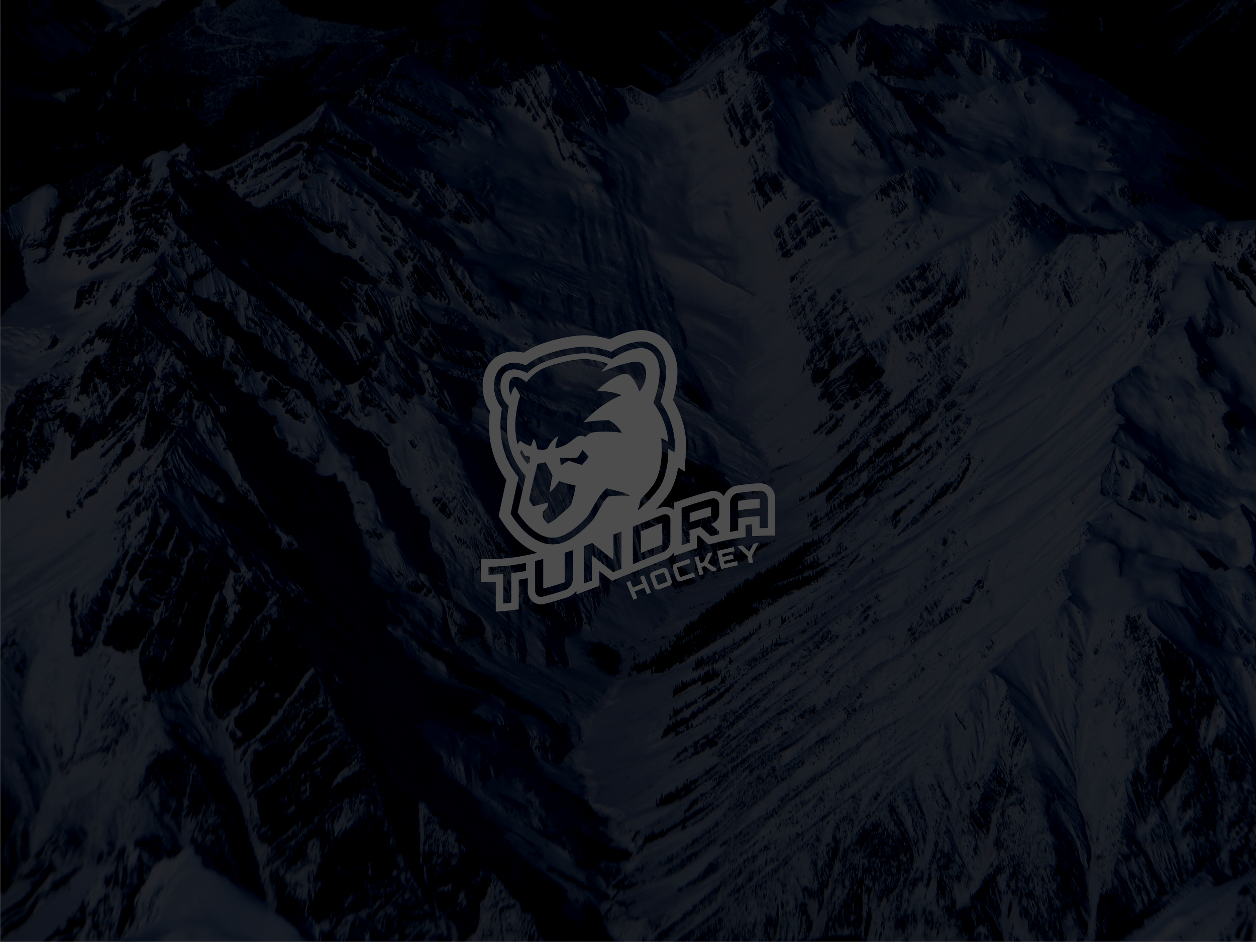 TUNDRA HOCKEY