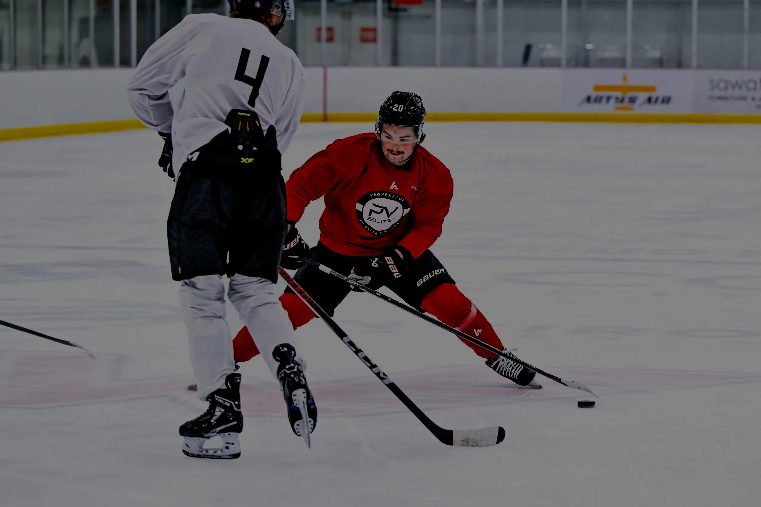 A newsletter titled 'PV Elite Hockey Newsletter' with bold, black text on a gray background.