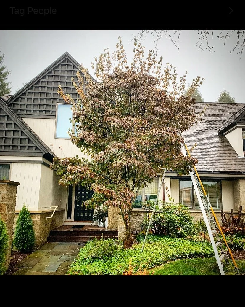 Pruning is preferred during winter or early spring dormancy with the exception of pruning of flowering trees/shrubs after blooming.  When left undone, your once beautiful tree or shrub can takeover your landscape and become an eyesore.  It&rsquo;s ne