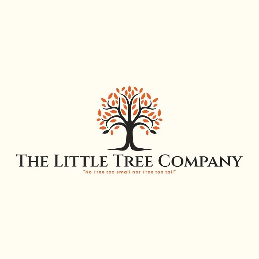 Arborists who take pride in your trees and service all your tree and plant care needs. Call today for a free consultation (774) 522-8322