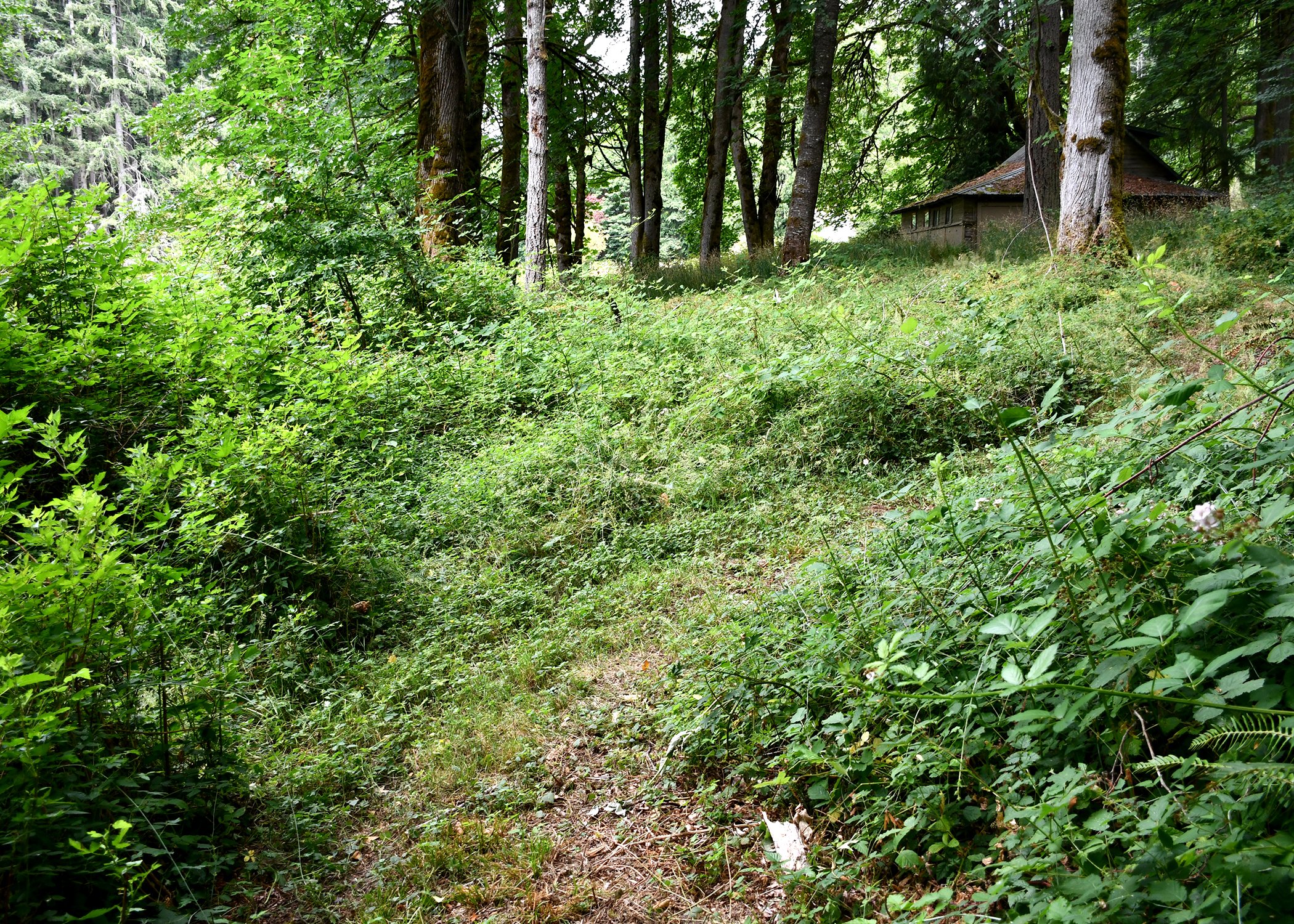 Barn 2.jpg