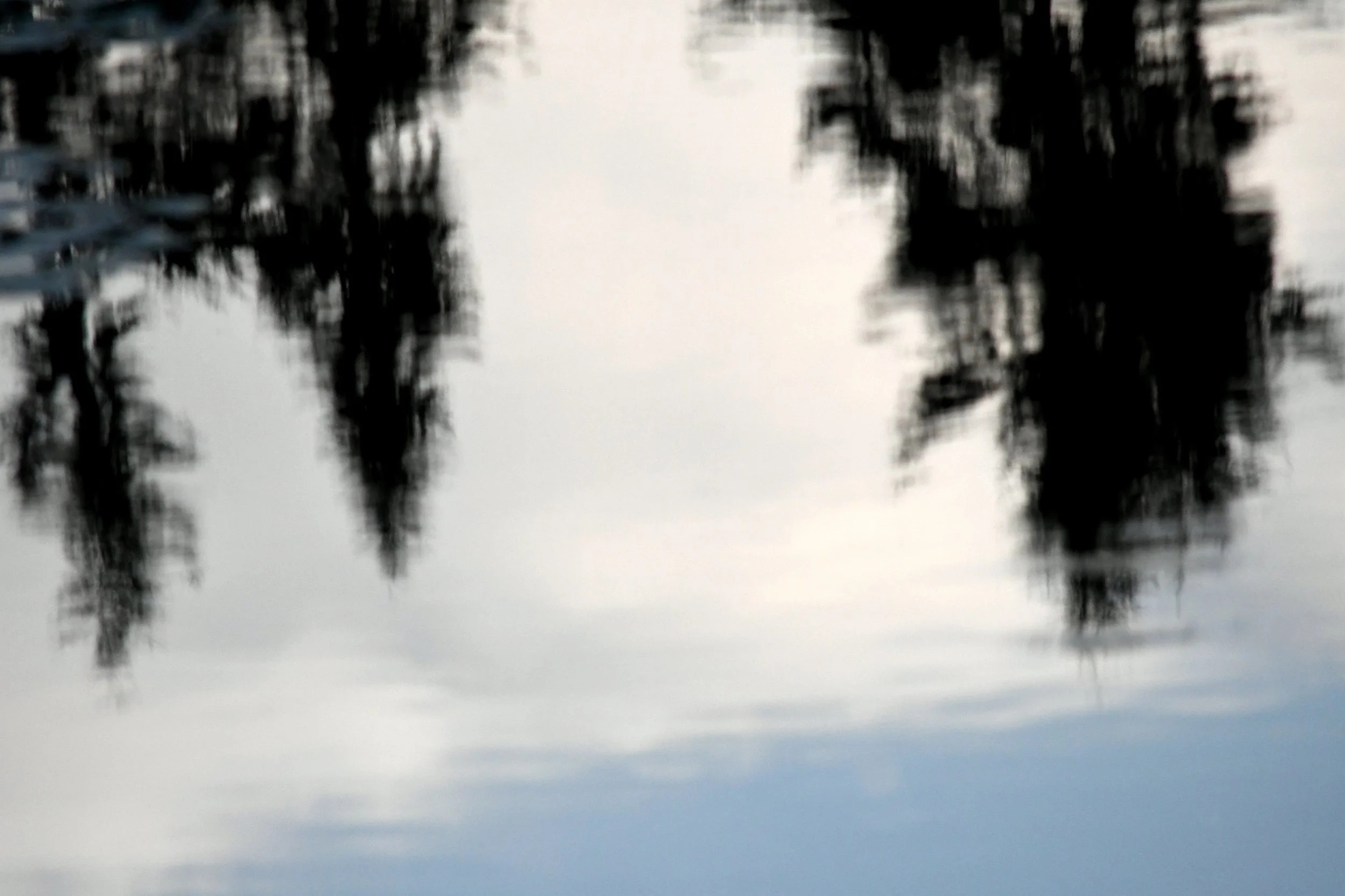 Pond Surface Reflection.jpg