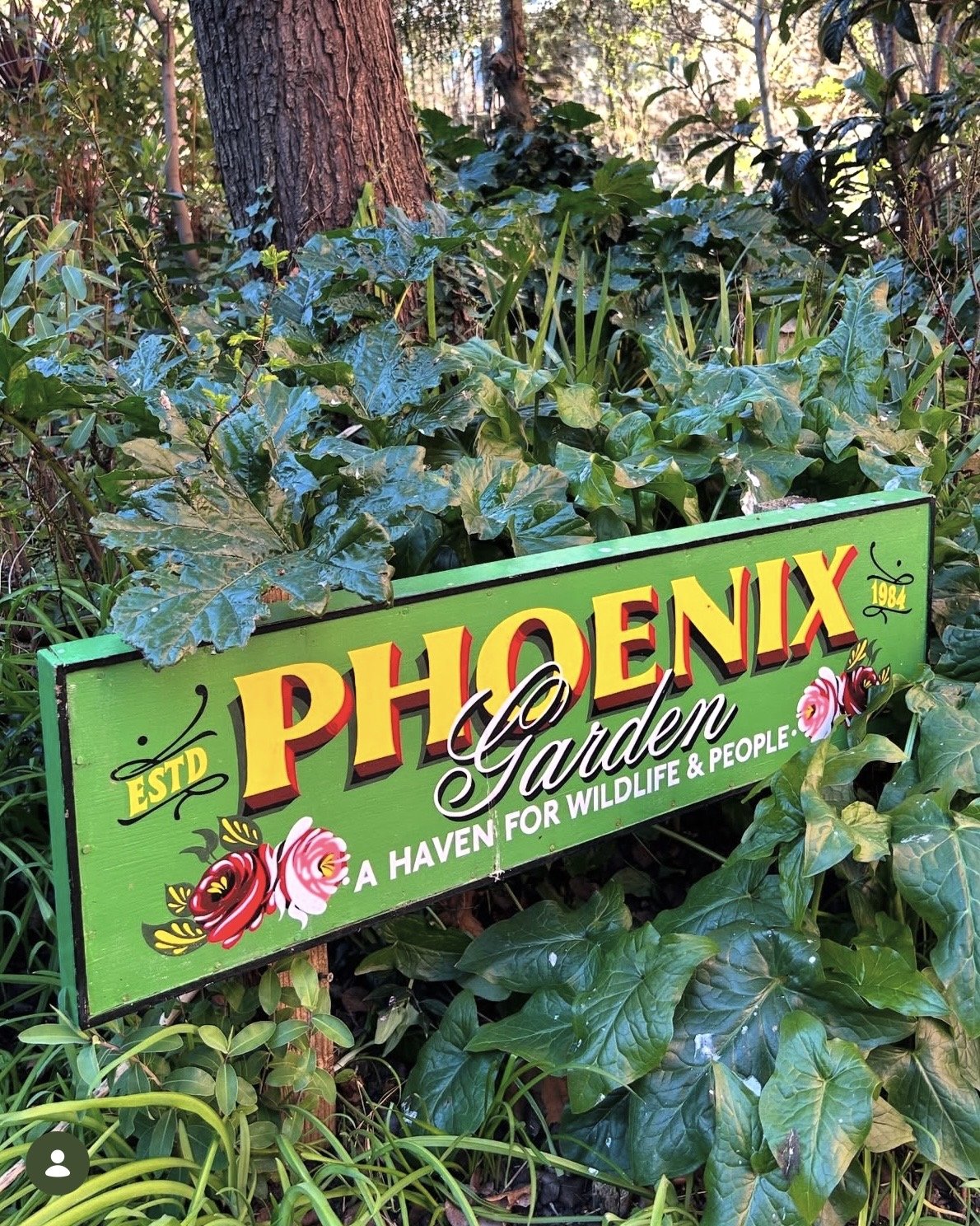 Phoenix Garden Playscheme