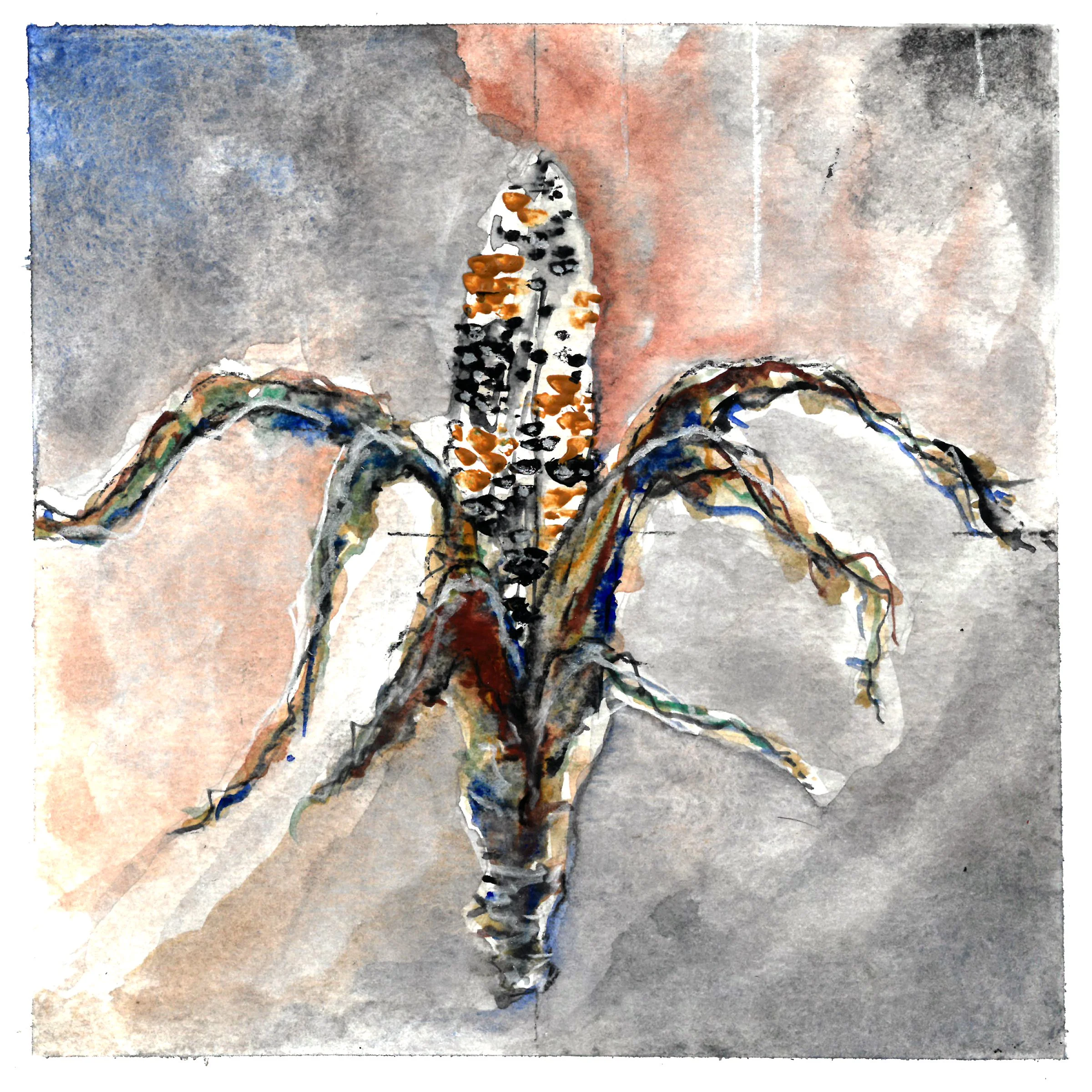 Clarice | Names 4.7 |                            Fragments learning to persist