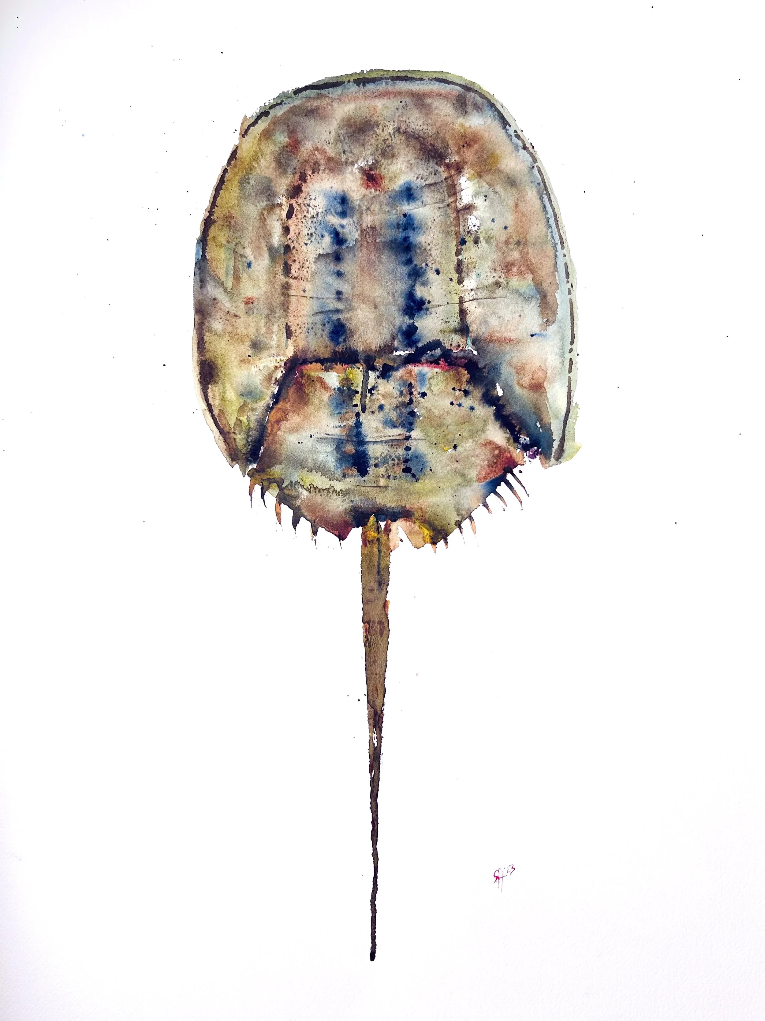 JOUST (2023)
18x24 Watercolor/Ink 