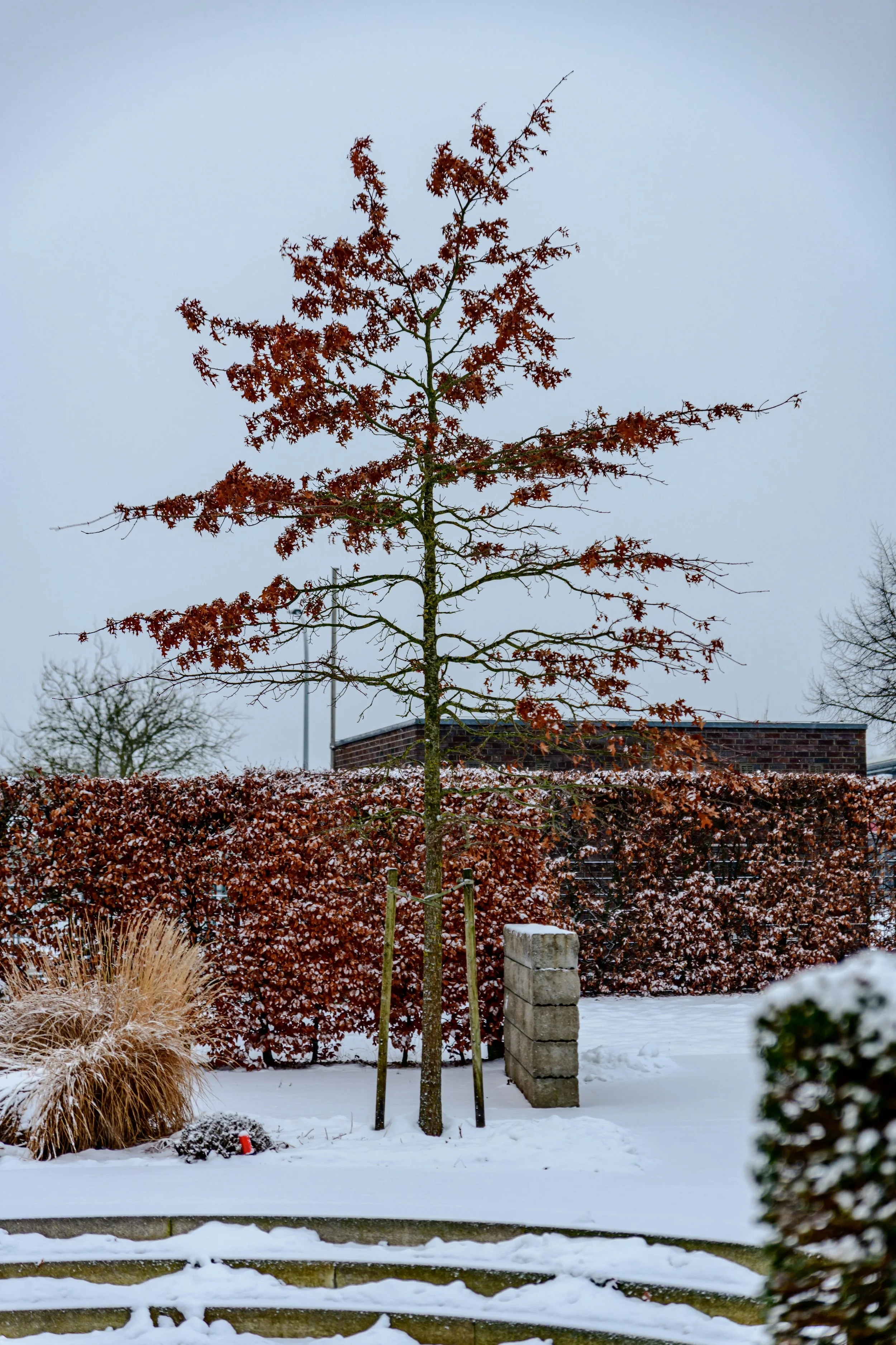Why Winter Is the Best Time to Plan Your New Outdoor Space