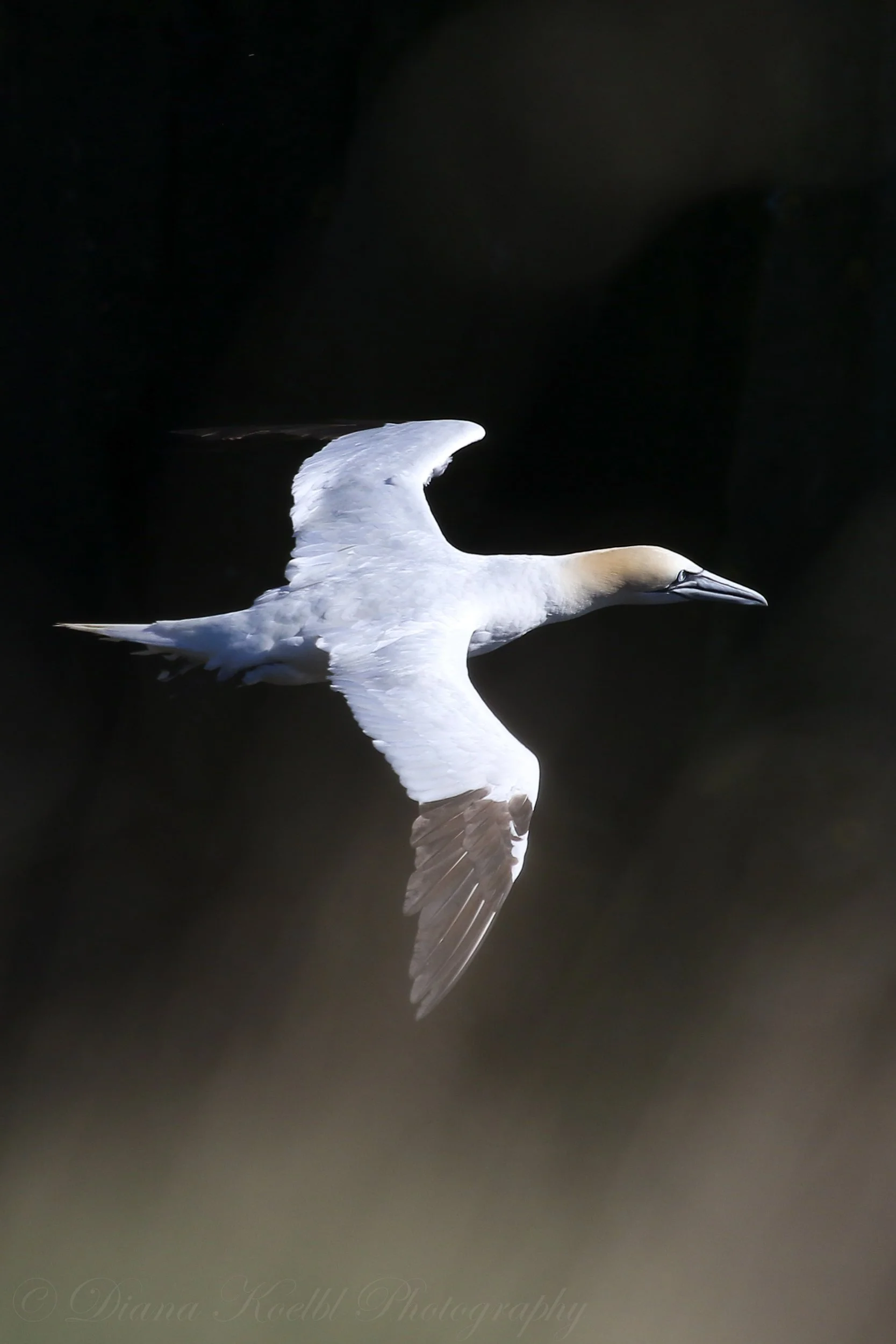 website photo-66.jpg