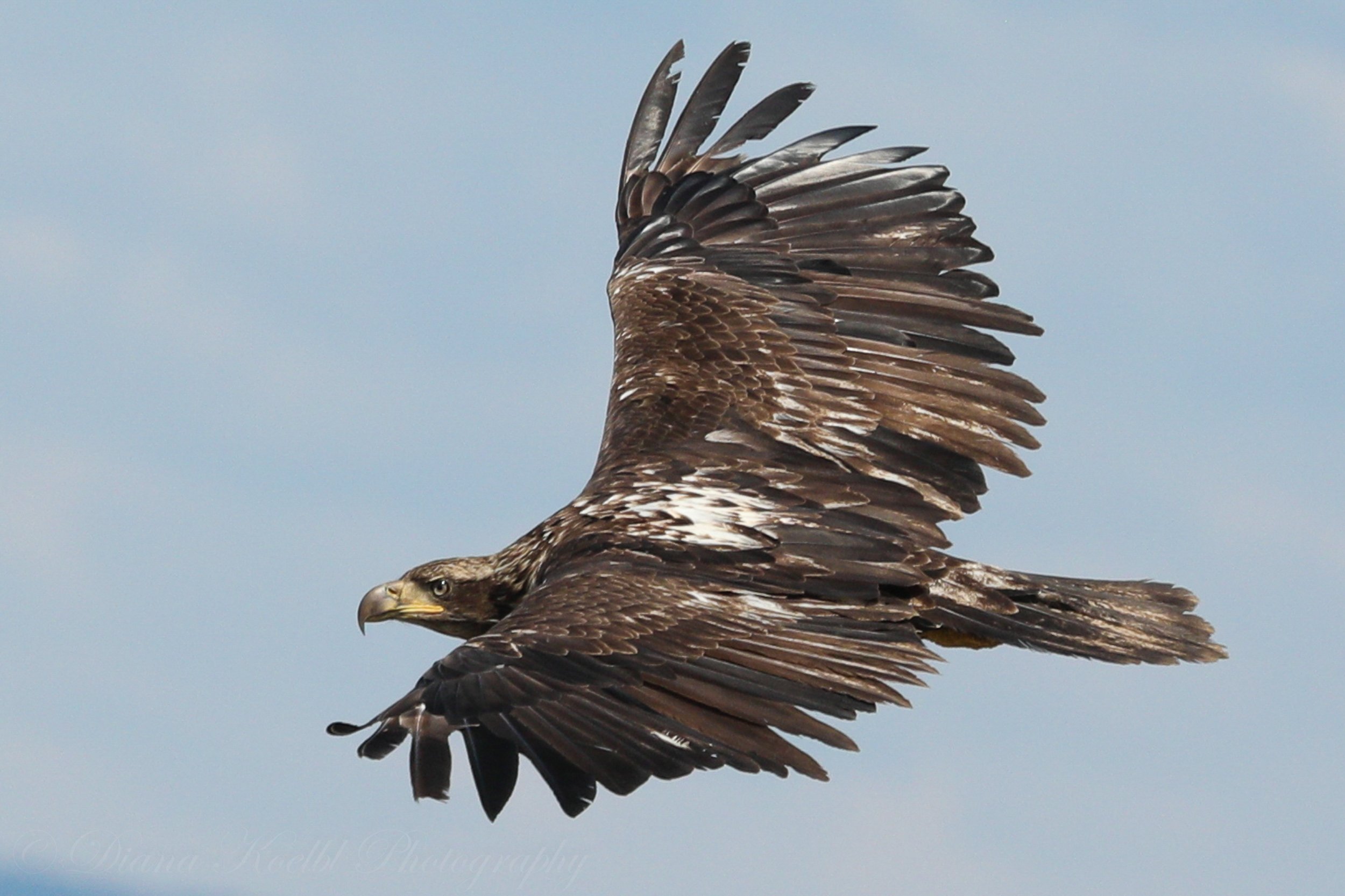 website photo-12.jpg