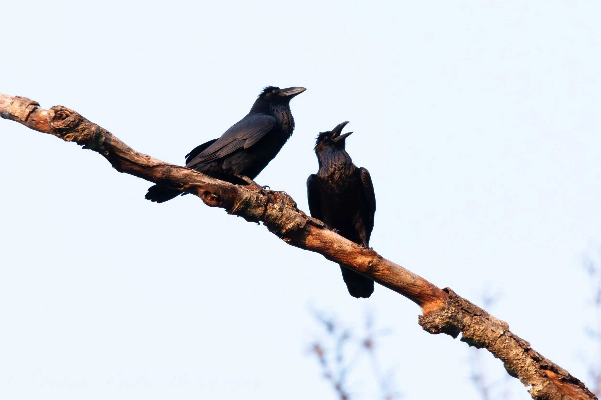 website photo-47.jpg
