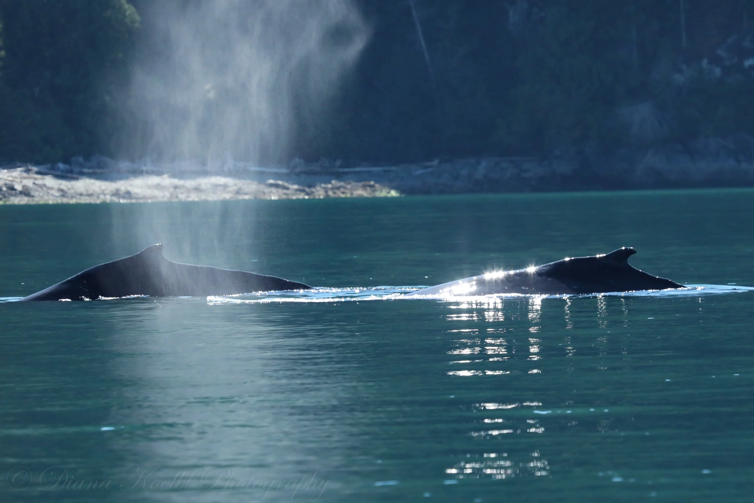 website photo-37.jpg