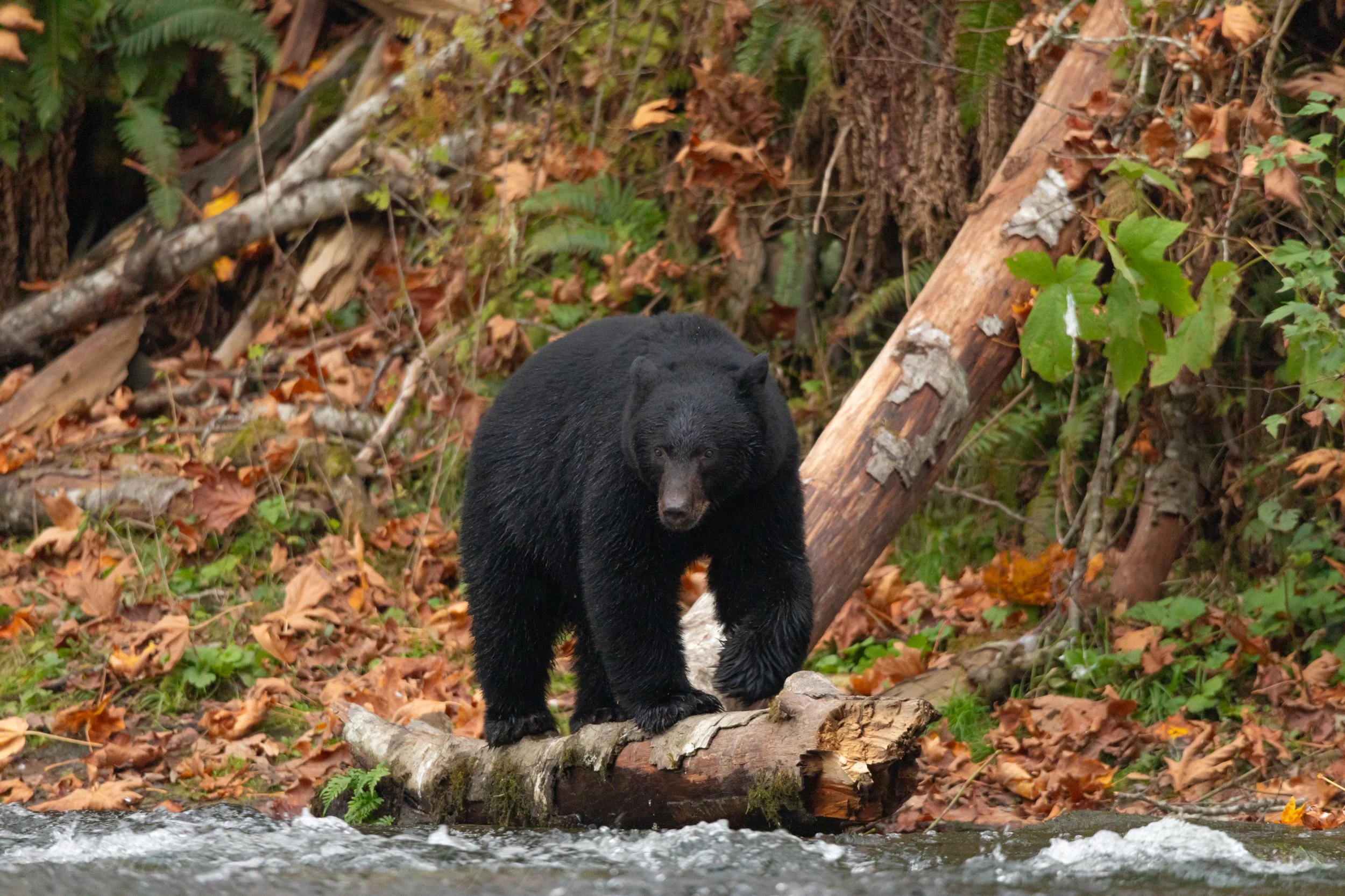 website photo-60.jpg