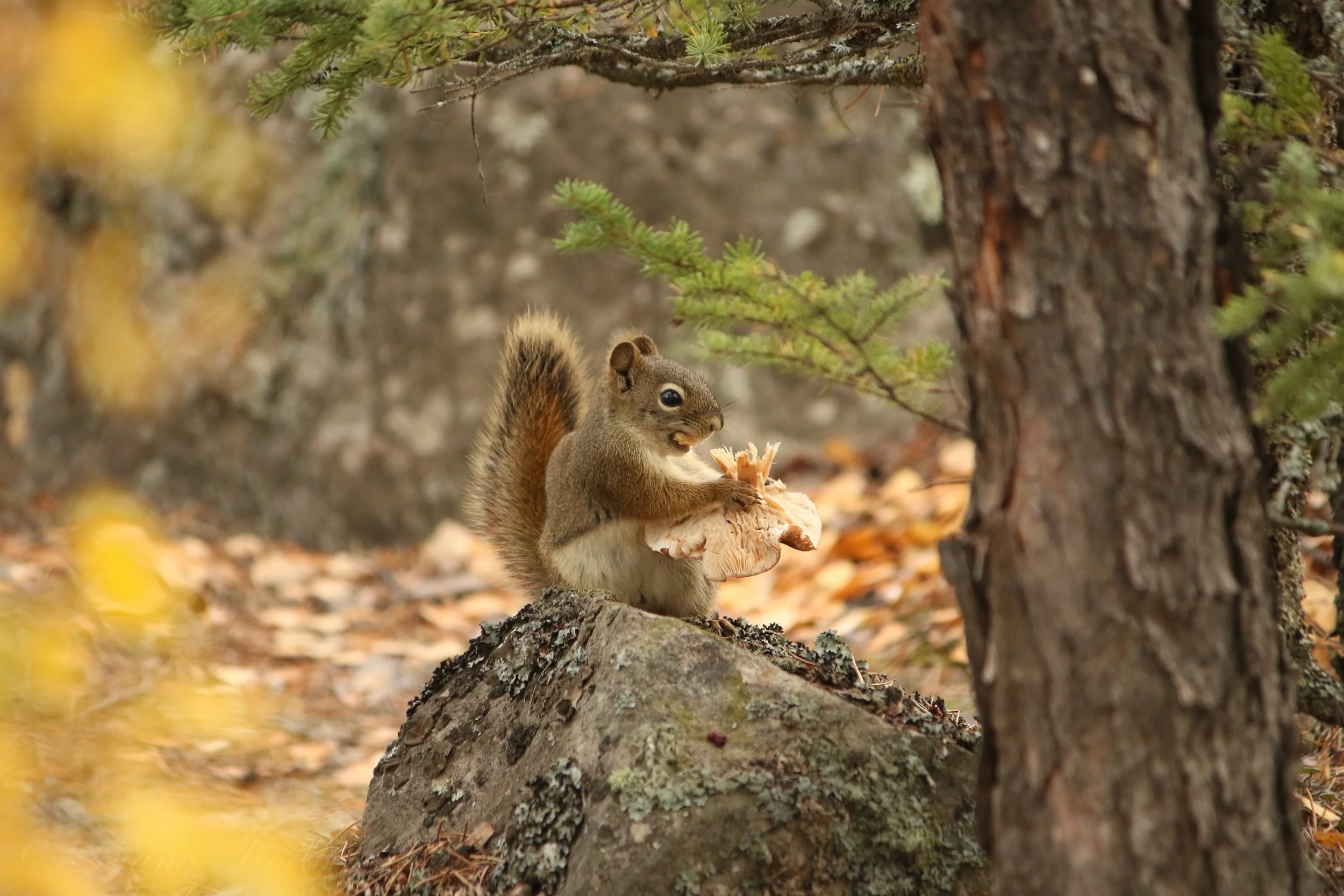 website photo-5.jpg