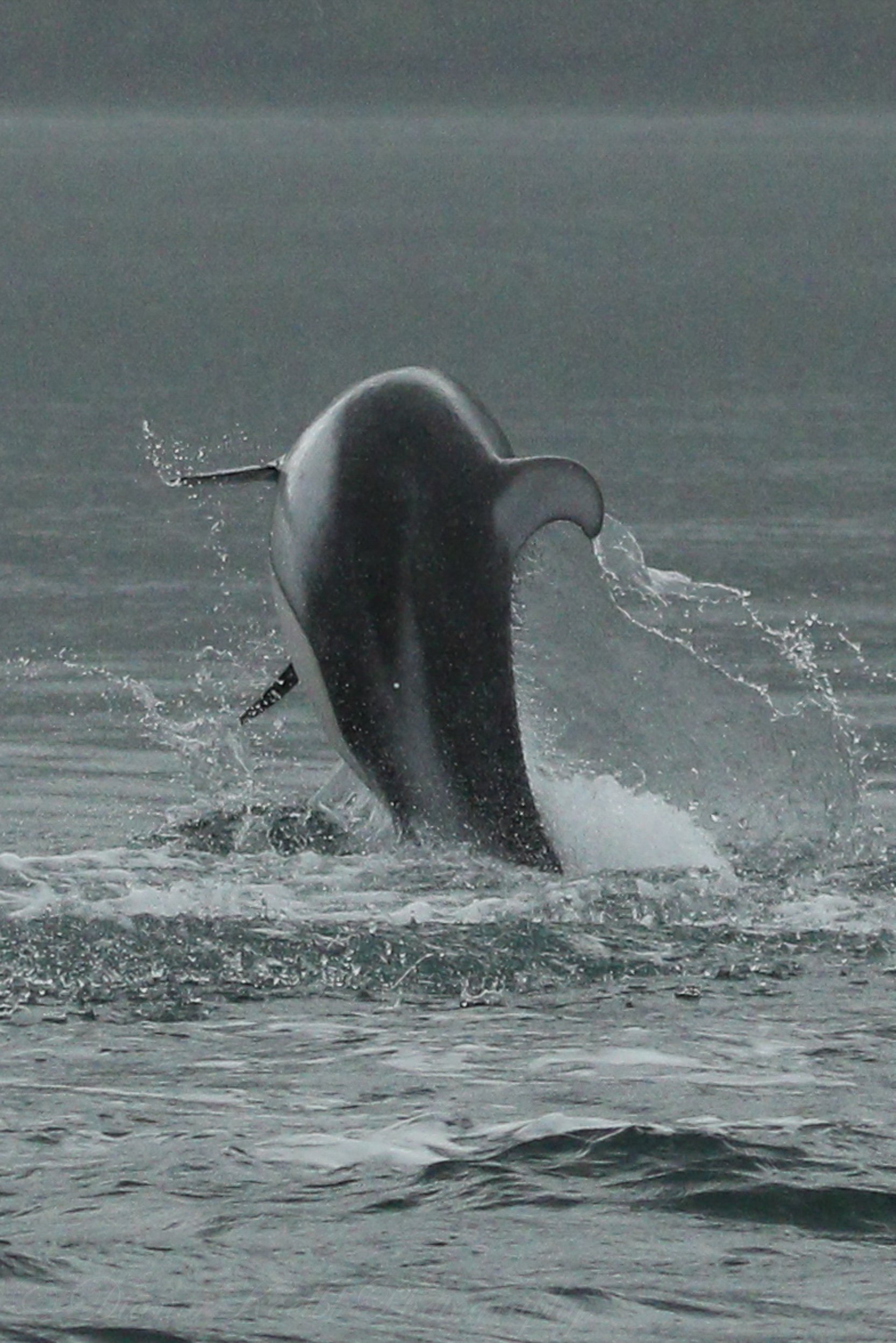 Dancing in the rain