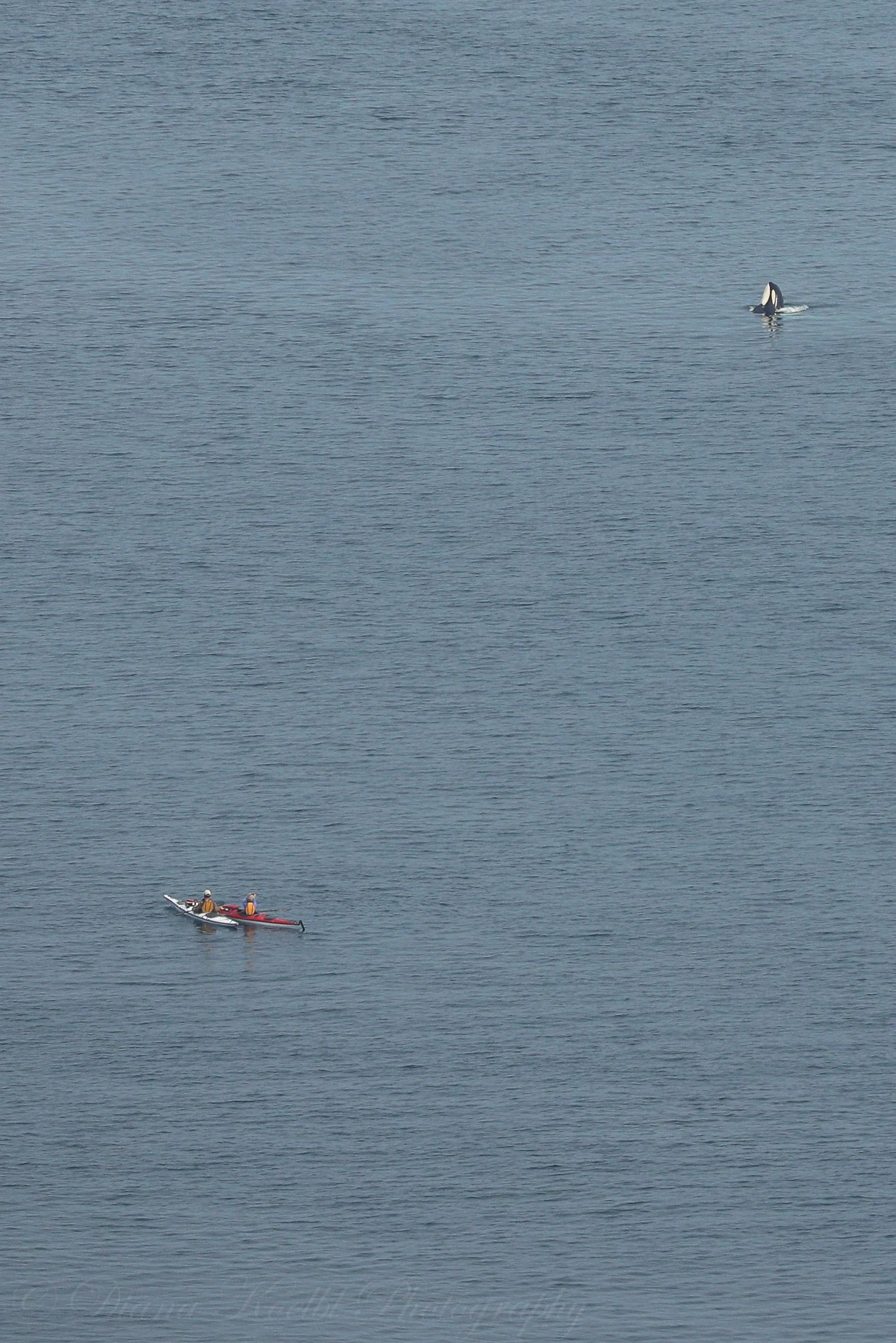 website photo-74.jpg