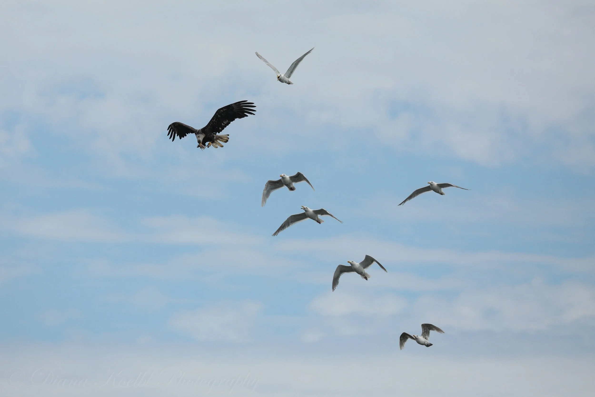 website photo-10.jpg