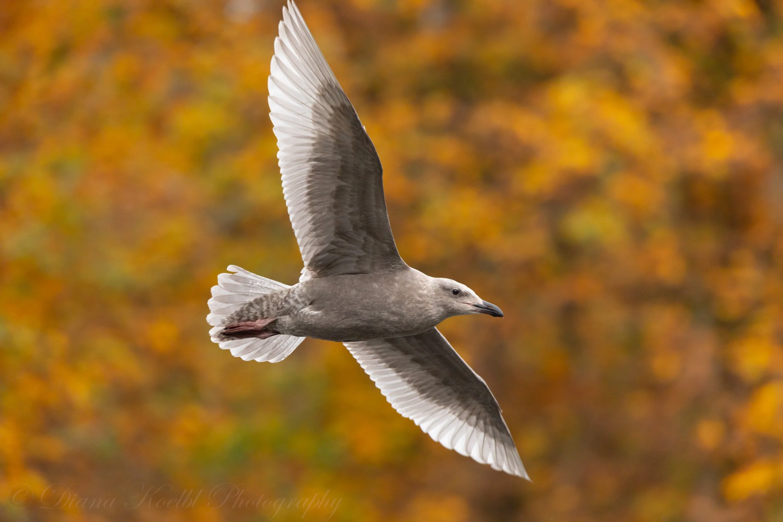 website photo-57.jpg
