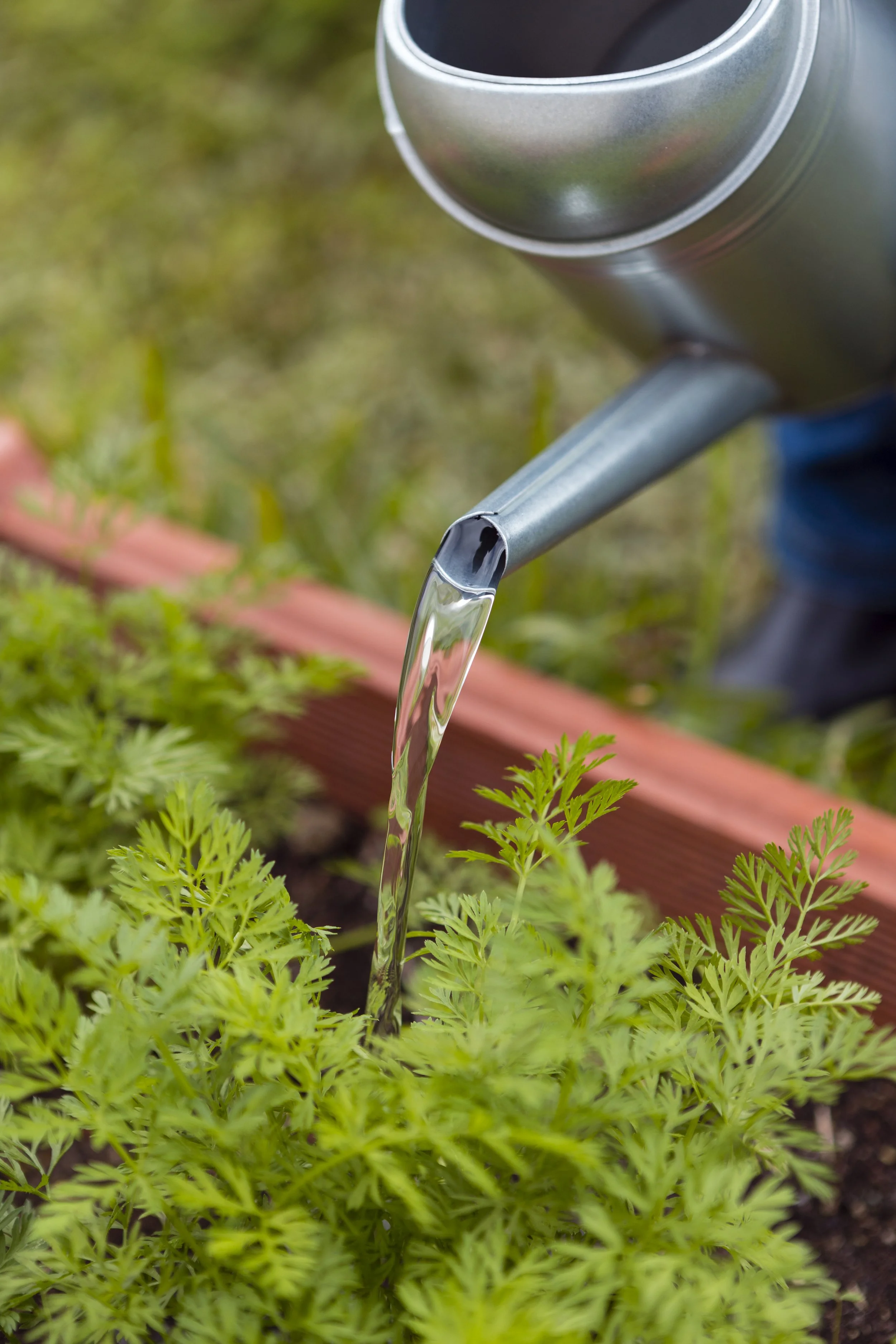 Irrigation is an Art