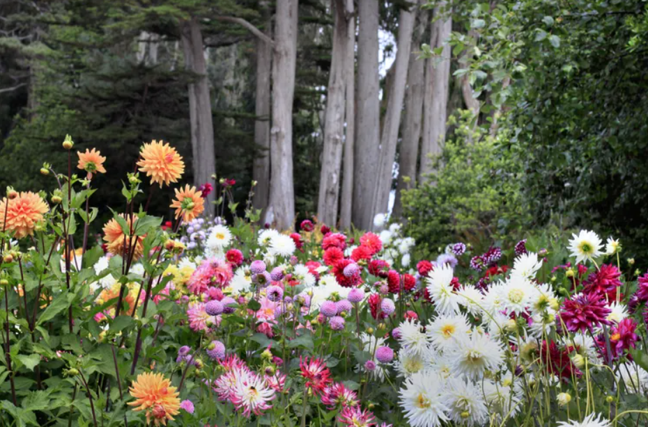 Plan your Spring Travels 