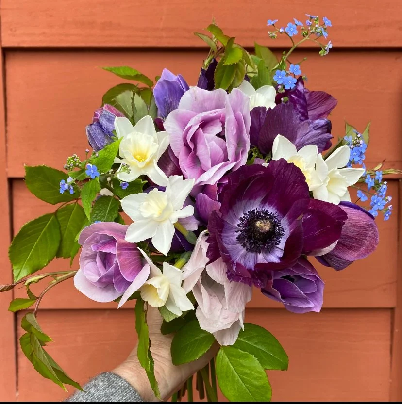 A hand holding a bouquet of various purple, white, and blue flowers against a red wooden background.