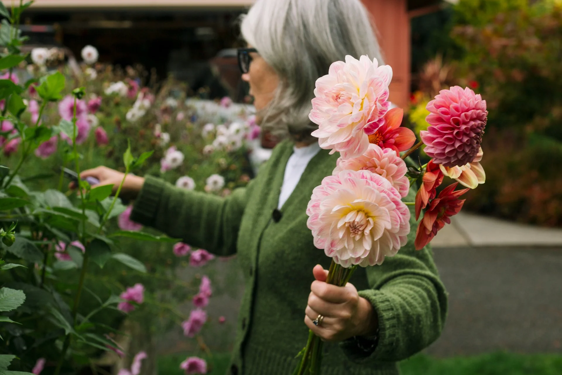A woman with gray hair and glasses in a green sweater is holding a bouquet of pink and peach flowers while standing in a garden surrounded by pink flowers.
