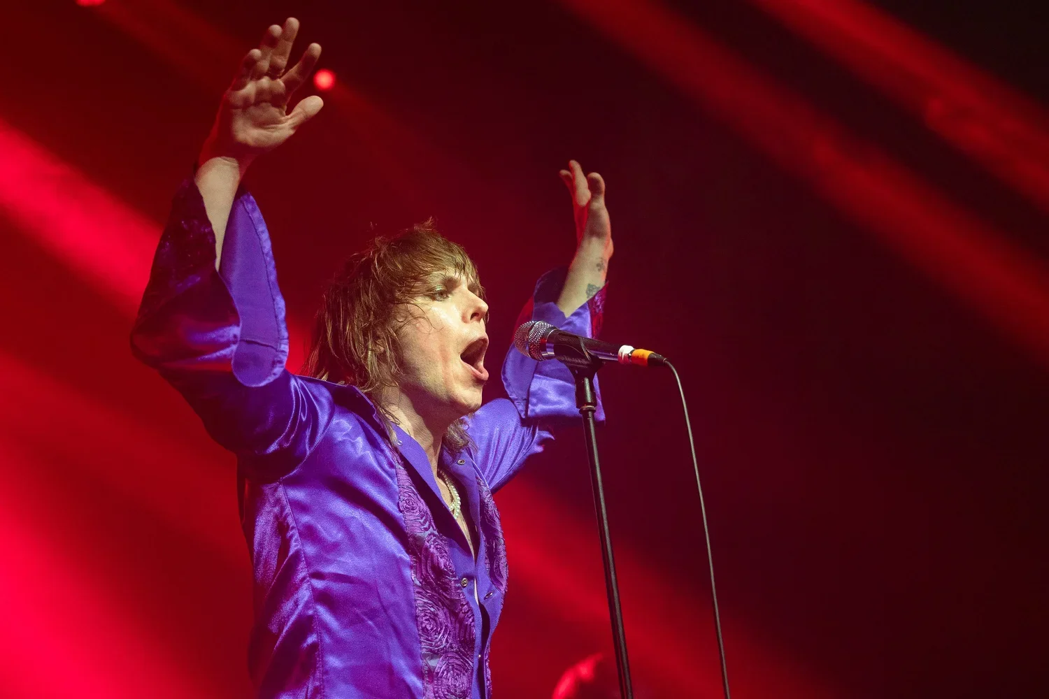 The+Struts-12.webp