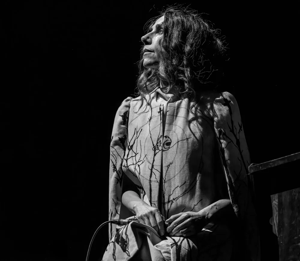 PJ+Harvey-17.webp