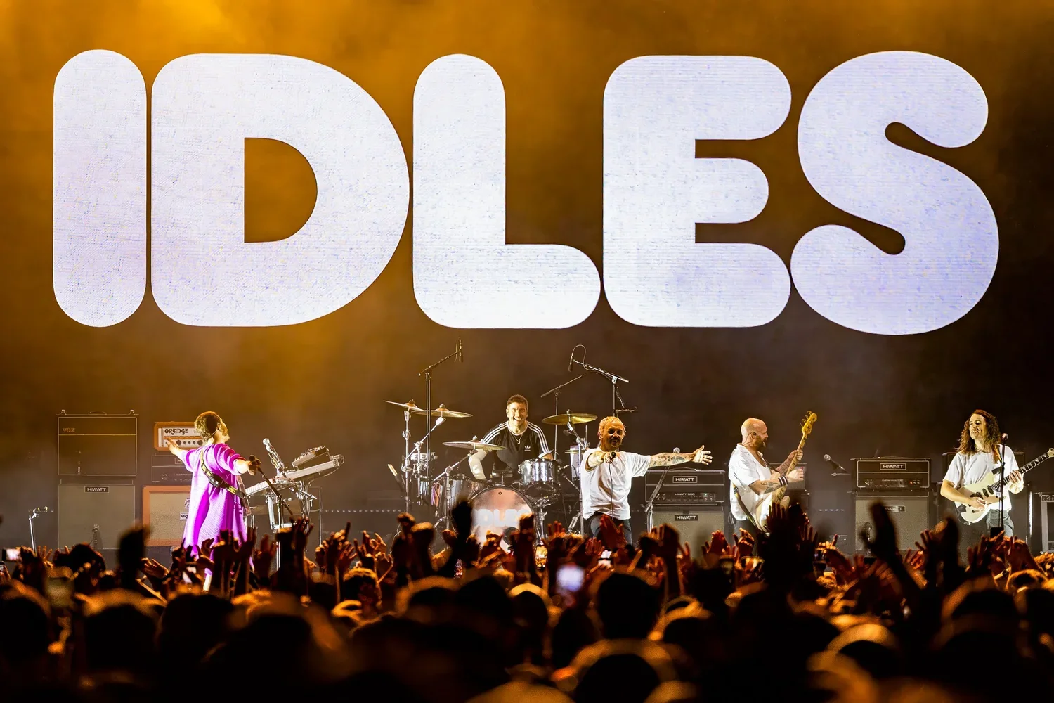 Idles-2.webp
