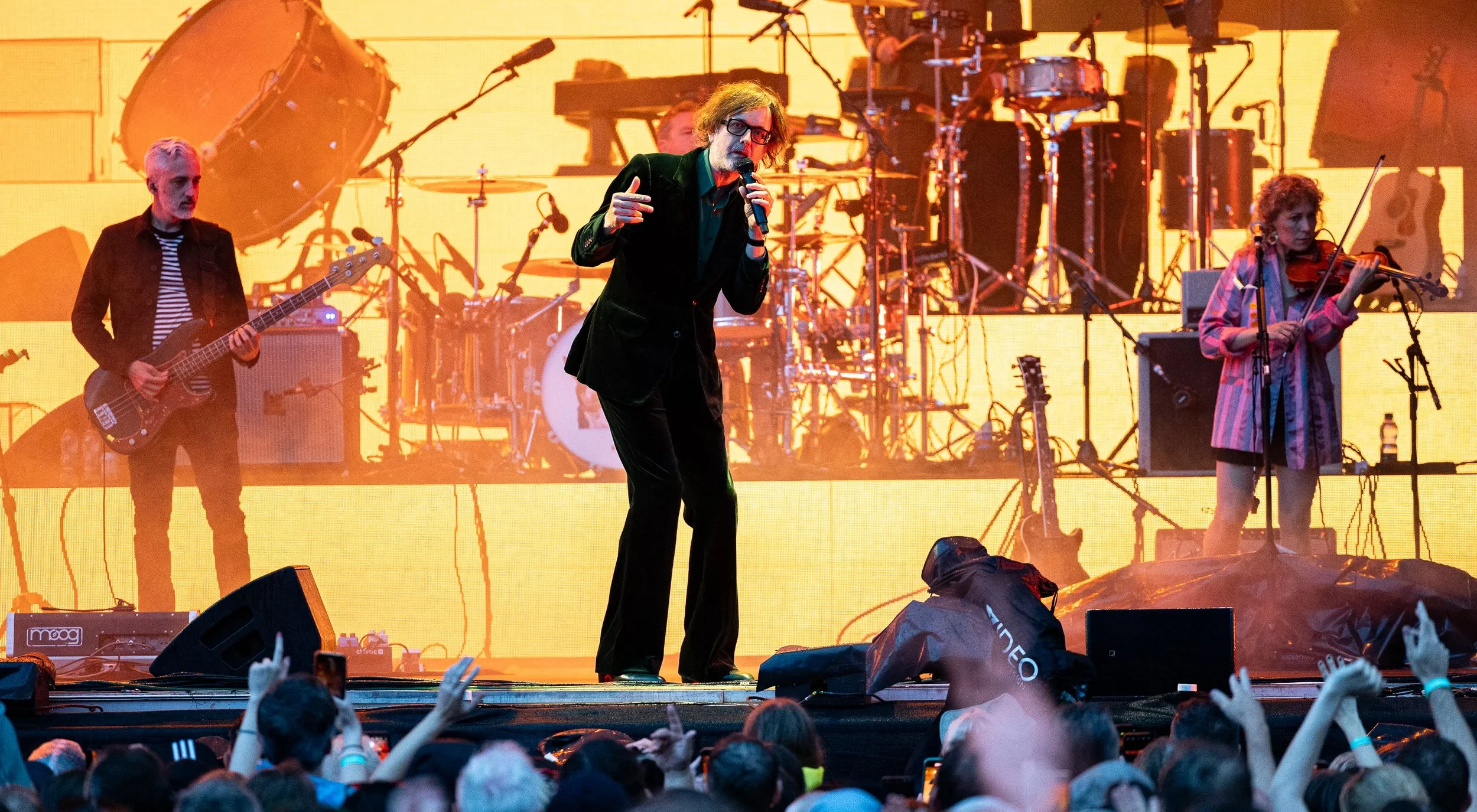 Pulp-3.webp