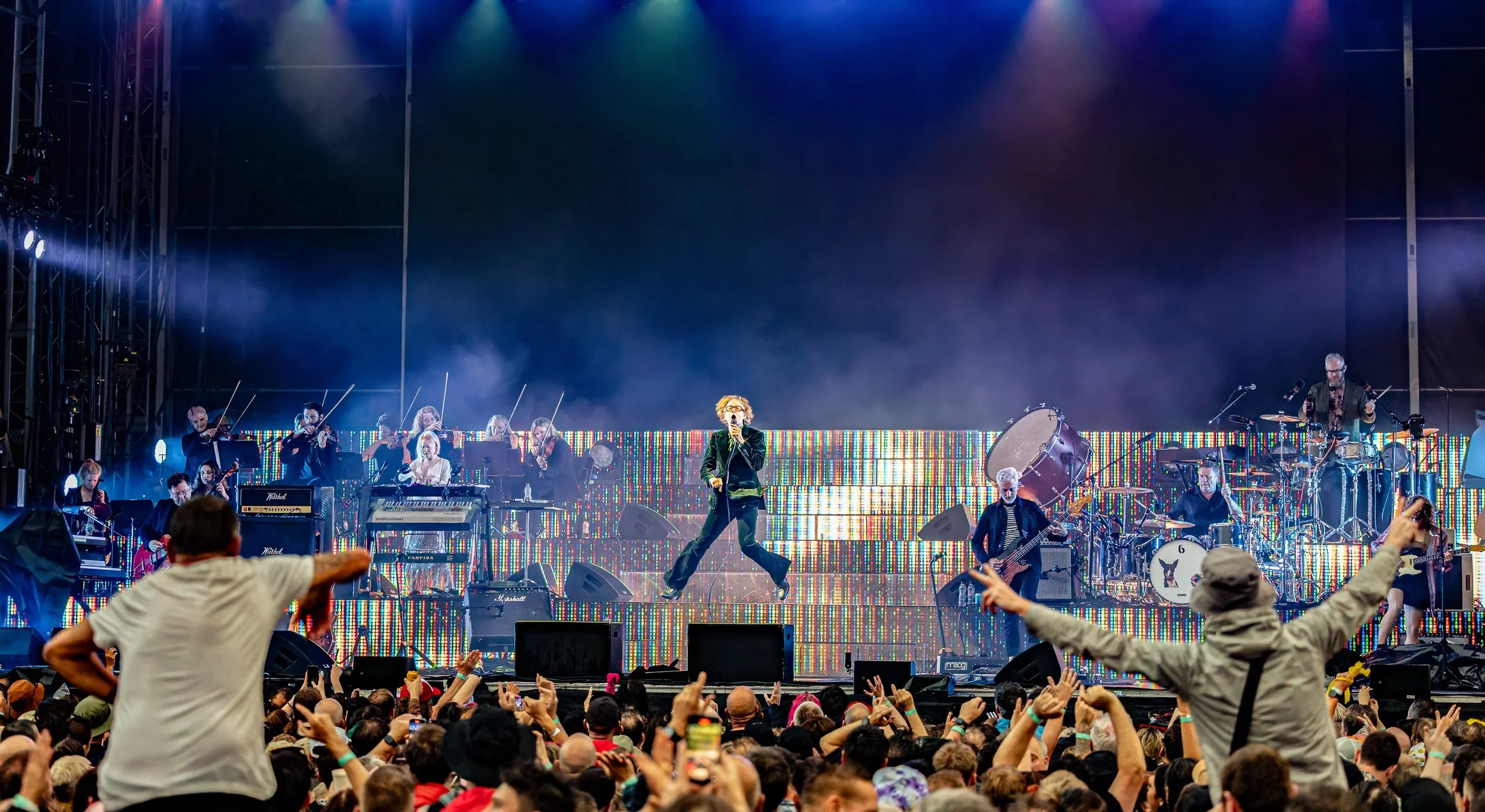 Pulp-7.webp