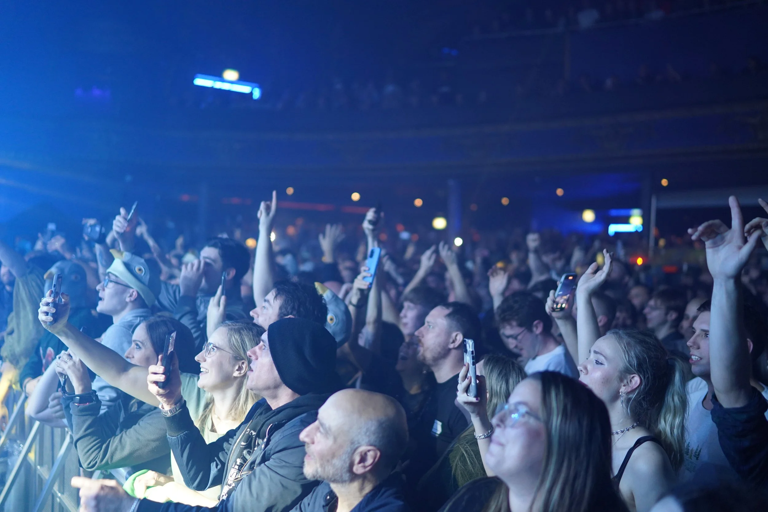 Pigeon Detectives 12.JPG