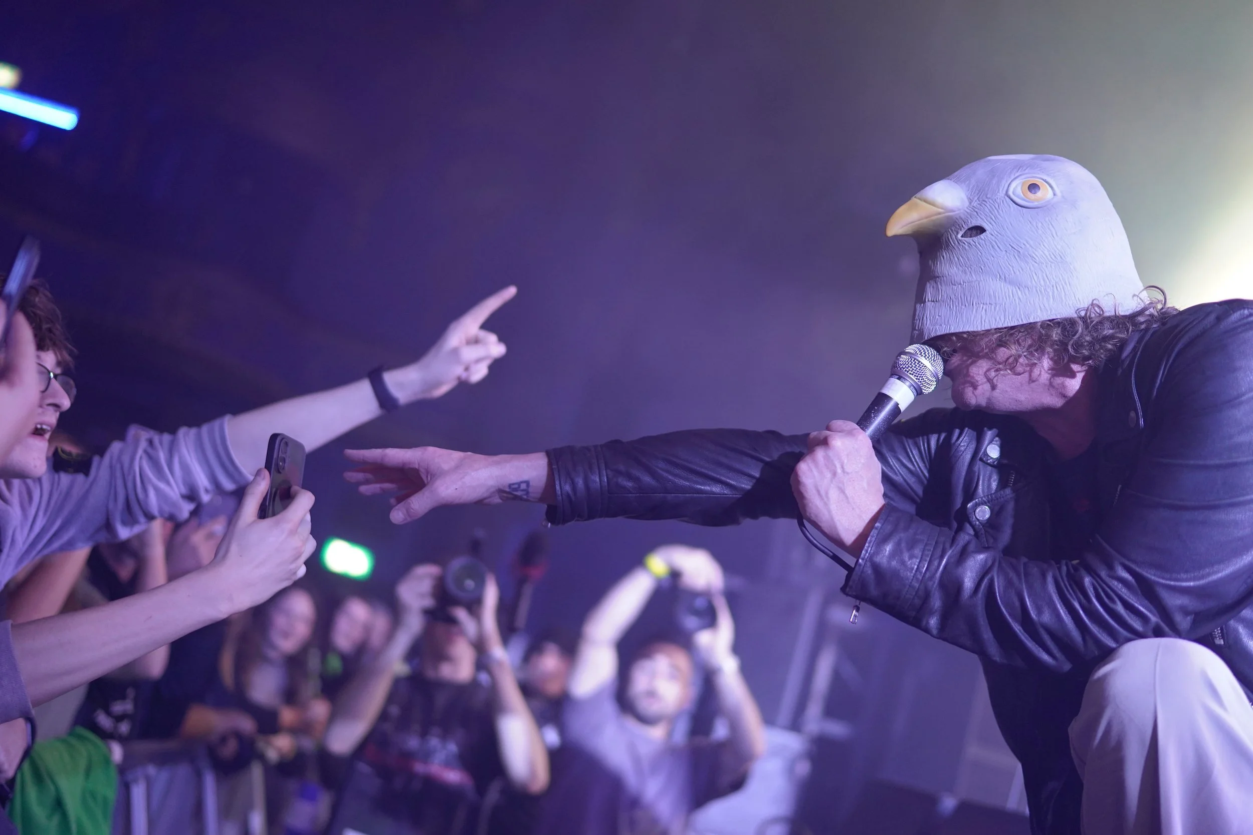 Pigeon Detectives 17.JPG