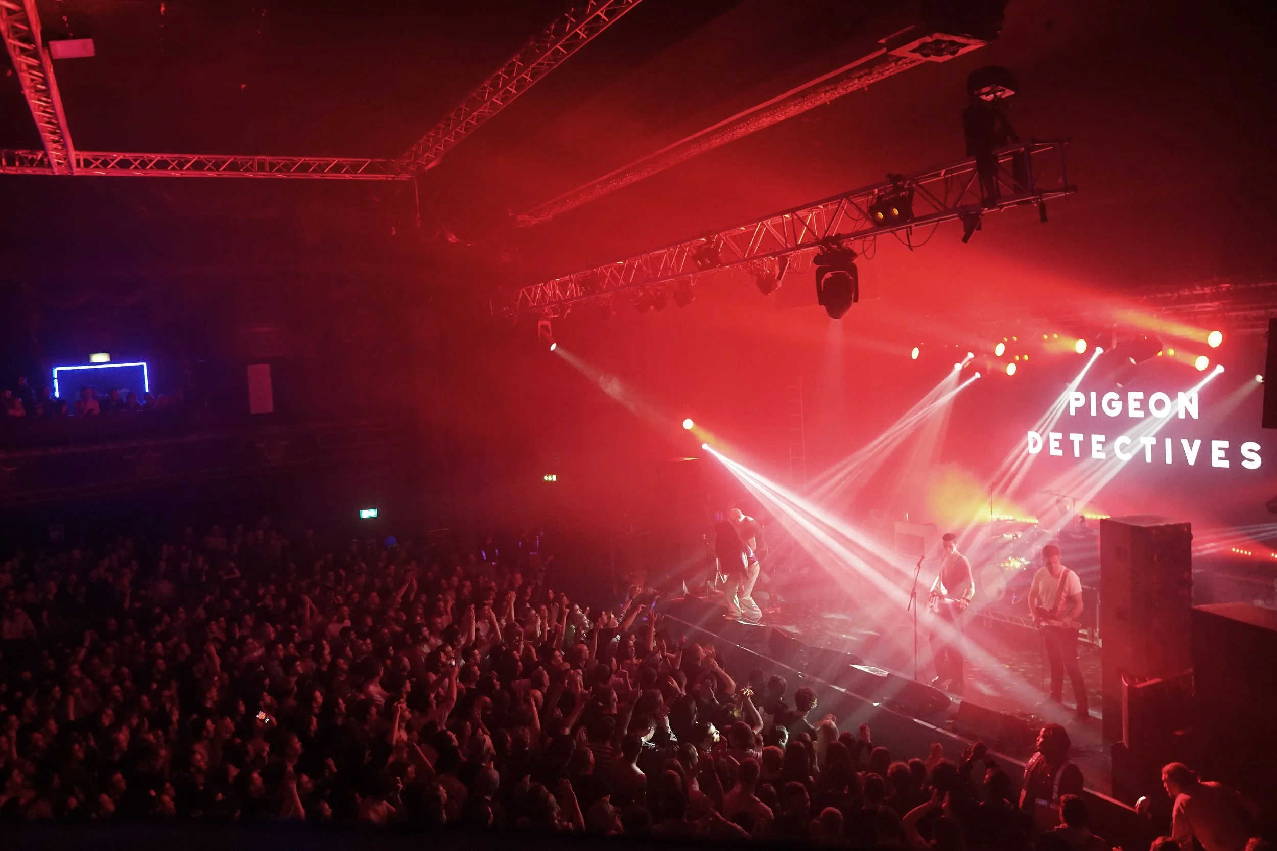 Pigeon Dettectives 38.JPG