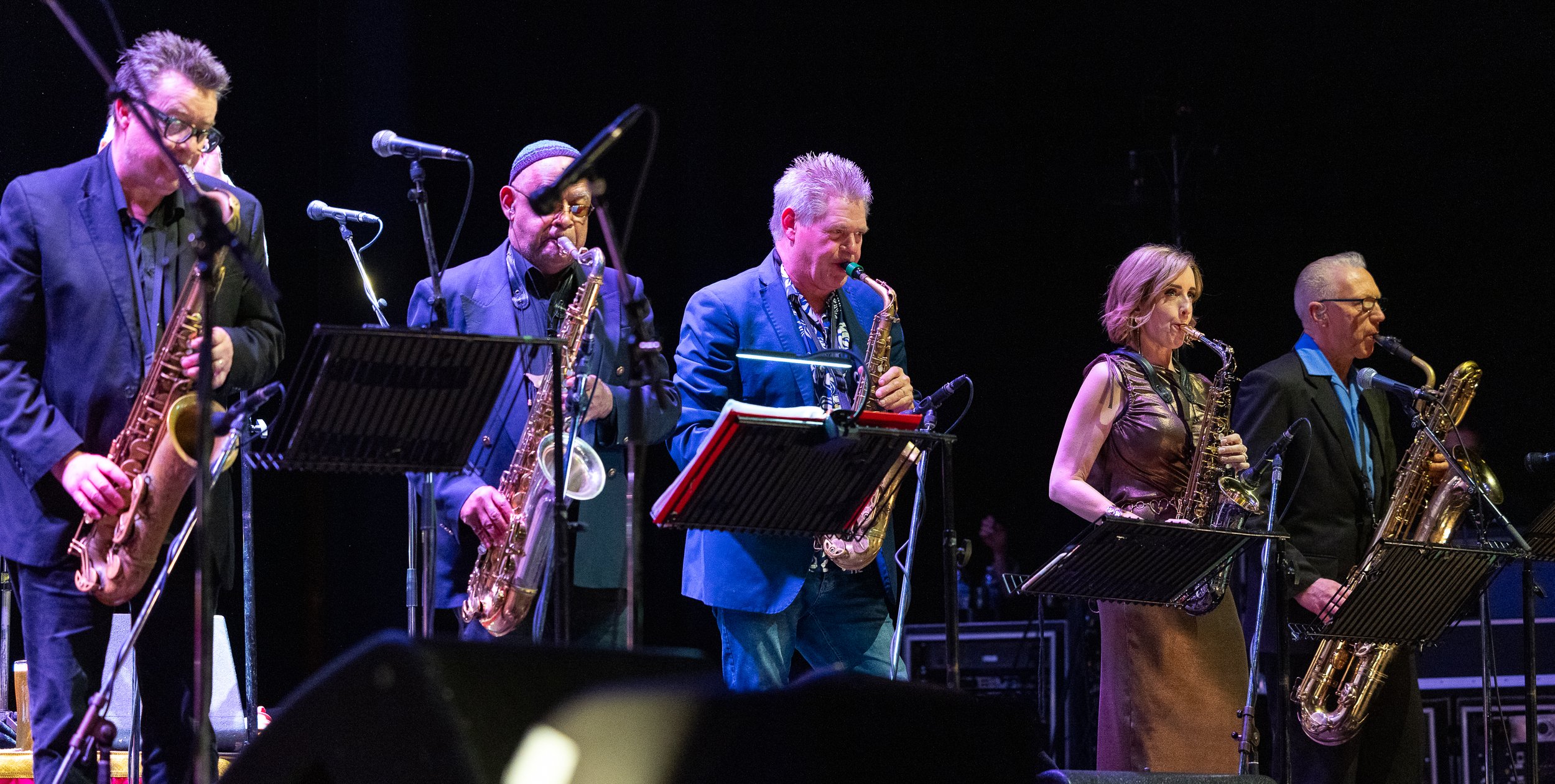 Jools Holland-11.JPG