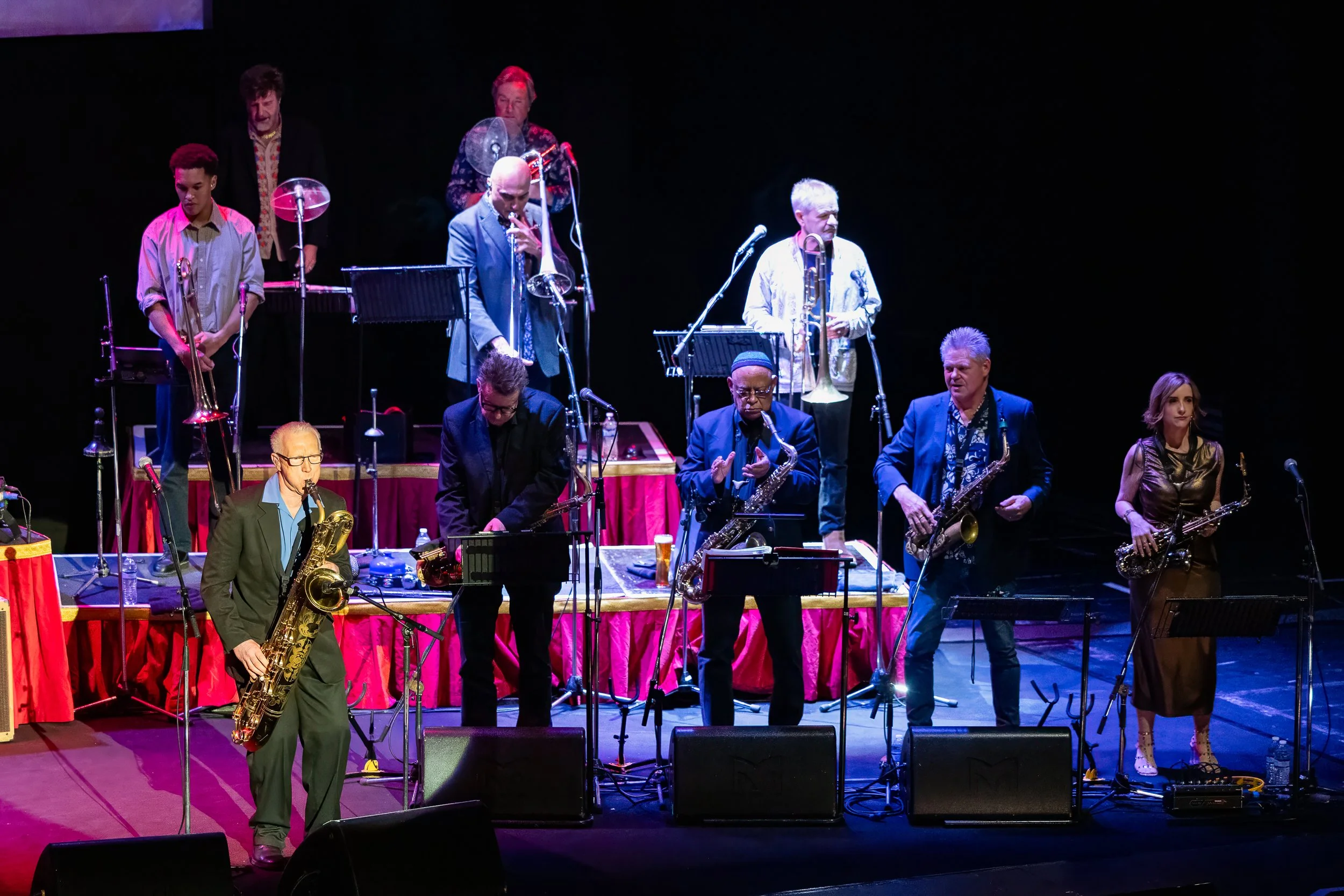 Jools Holland-13.JPG