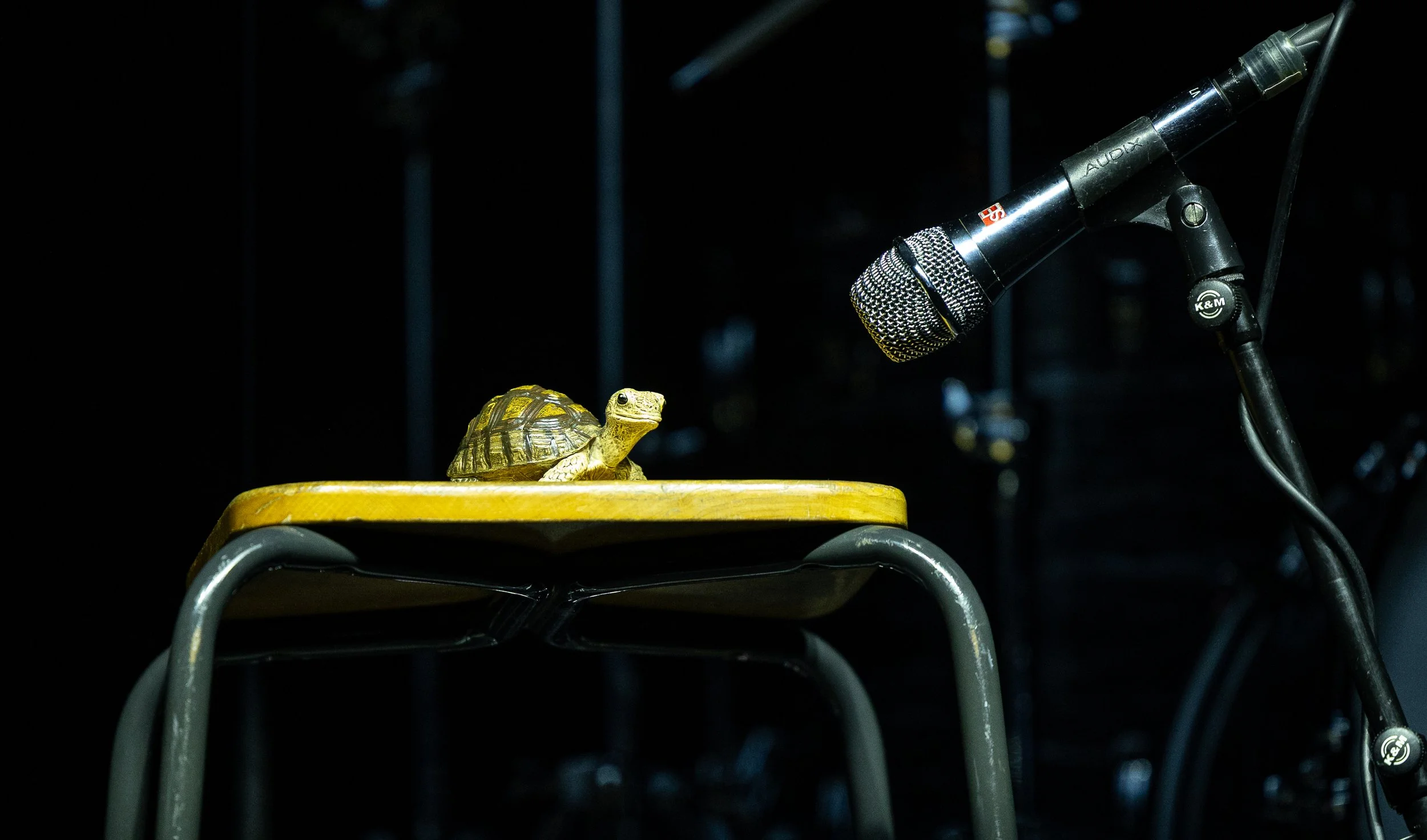 Psychedelic Porn Crumpets.JPG