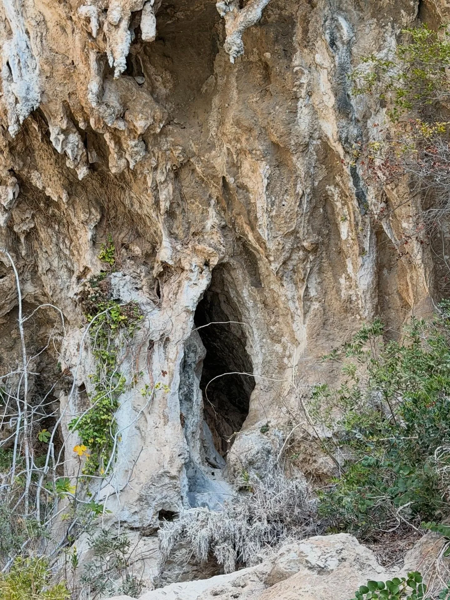 Mother earth&rsquo;s vulvas are all around us 🌷