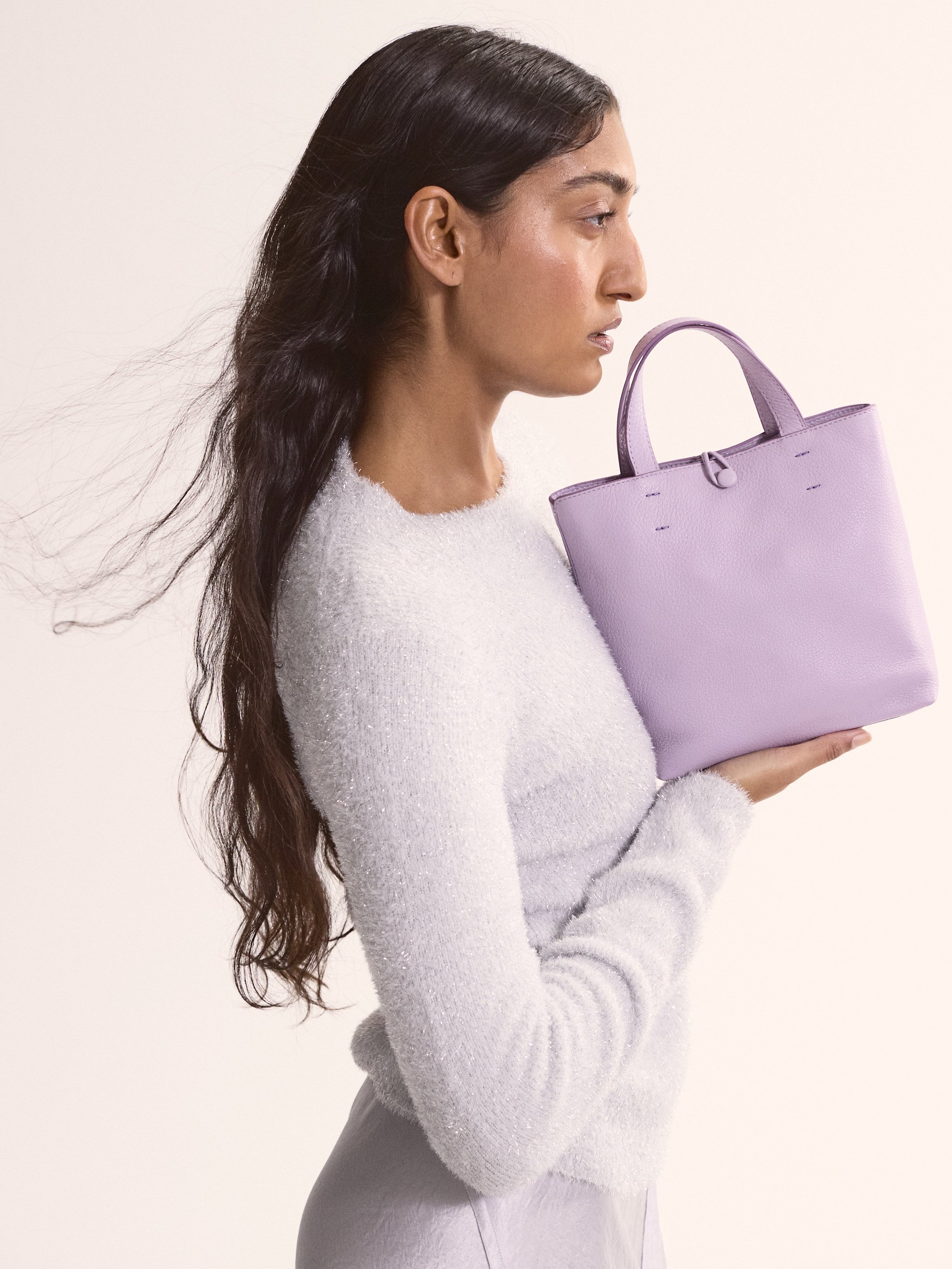 VB_Studio_S06_Mini Original Tote_0704.jpg