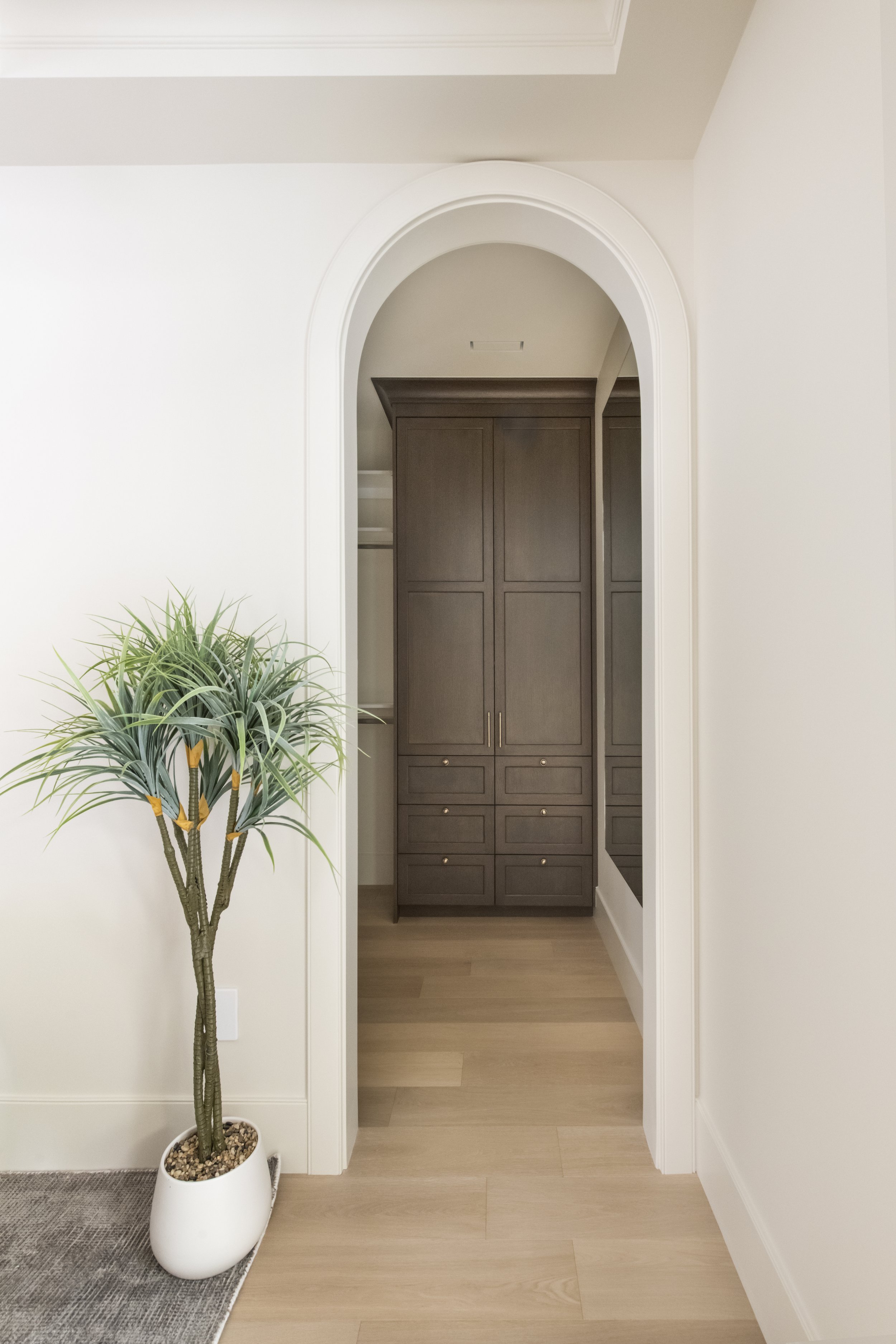 Interior view of a hallway with a large archway, featuring a potted artificial plant on the left, a wooden closet with gold handles in the background, and light-colored wood flooring.