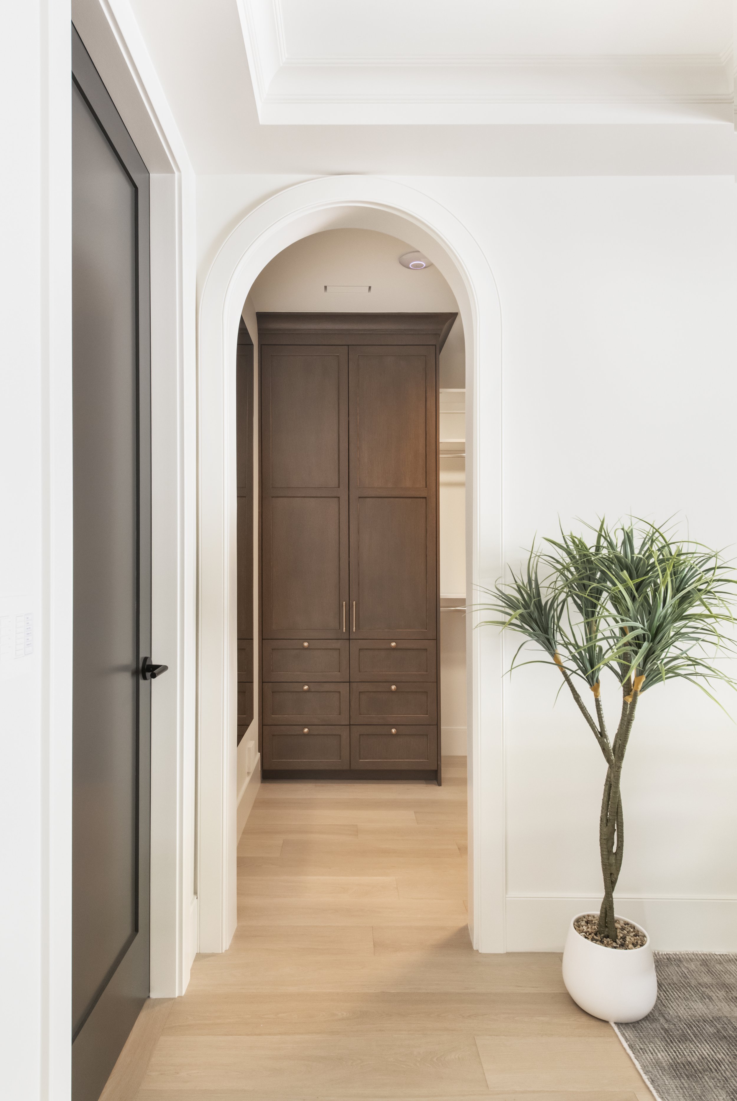 Interior view of a hallway with white walls, a potted plant on the right, and a brown cabinet through an arched doorway.