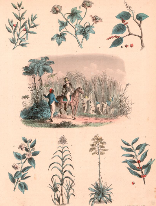 Screenshot 2025-12-06 003506.png