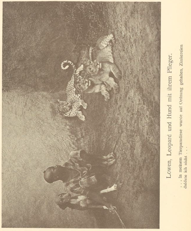 Screenshot 2025-12-02 055833.png