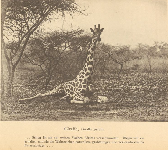 Screenshot 2025-12-02 055156.png