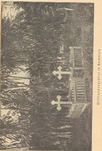 Screenshot 2025-12-02 061944.png