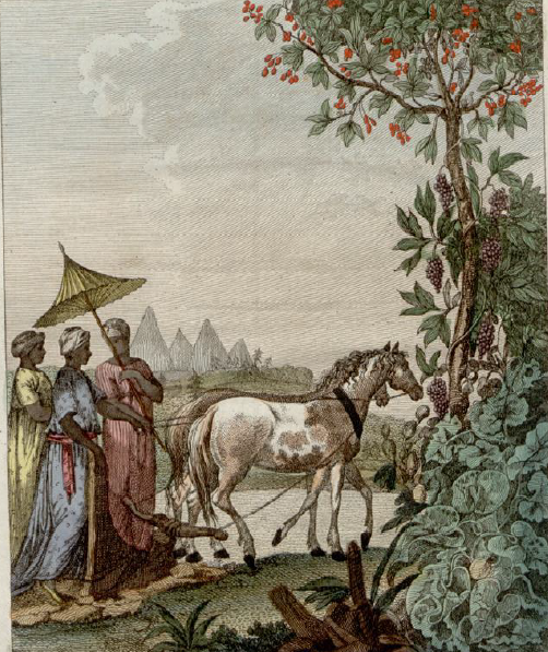 Screenshot 2025-12-06 002849.png