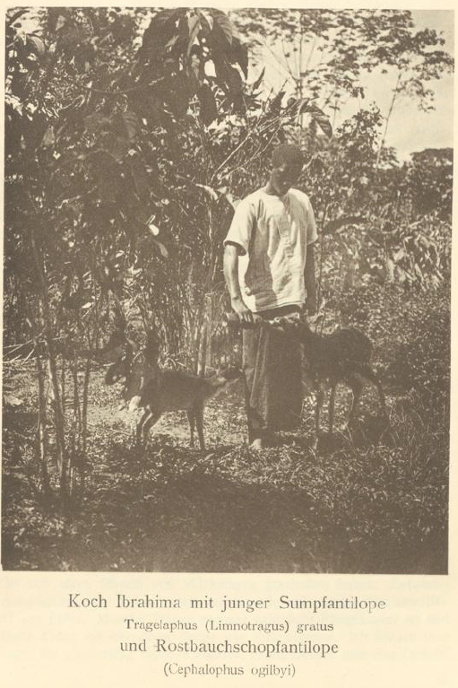 Screenshot 2025-12-02 055445.png