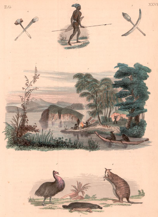 Screenshot 2025-12-06 003805.png