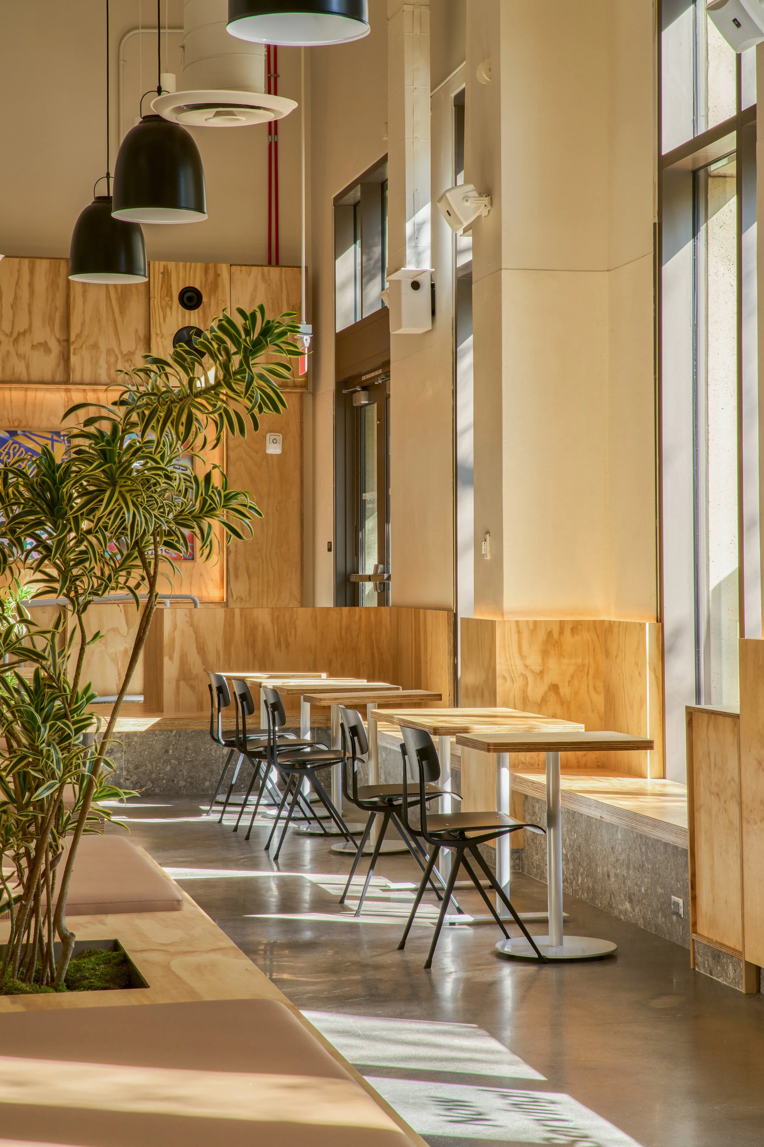Sweetgreen USC Village2323_V1.jpg